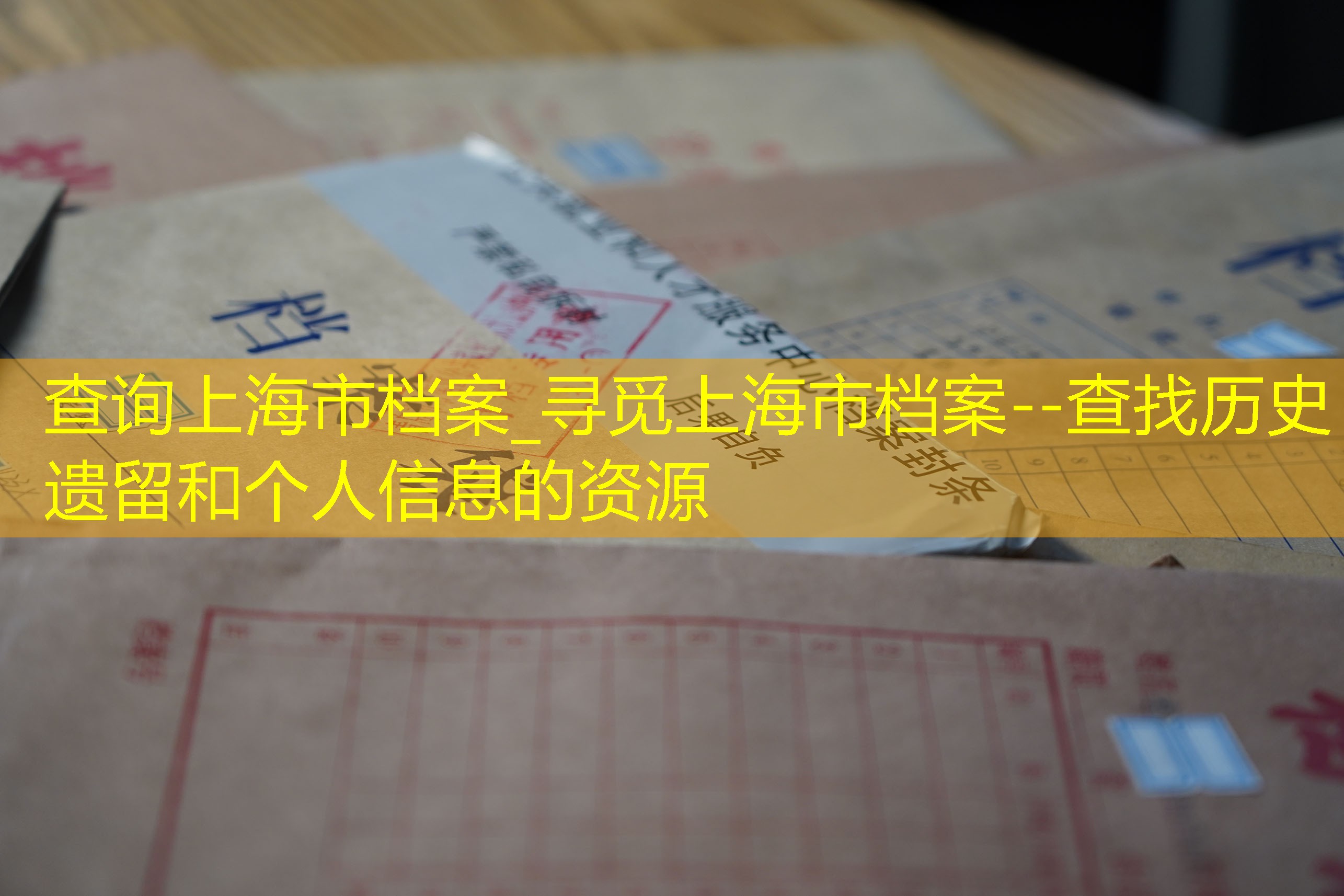 档案查询