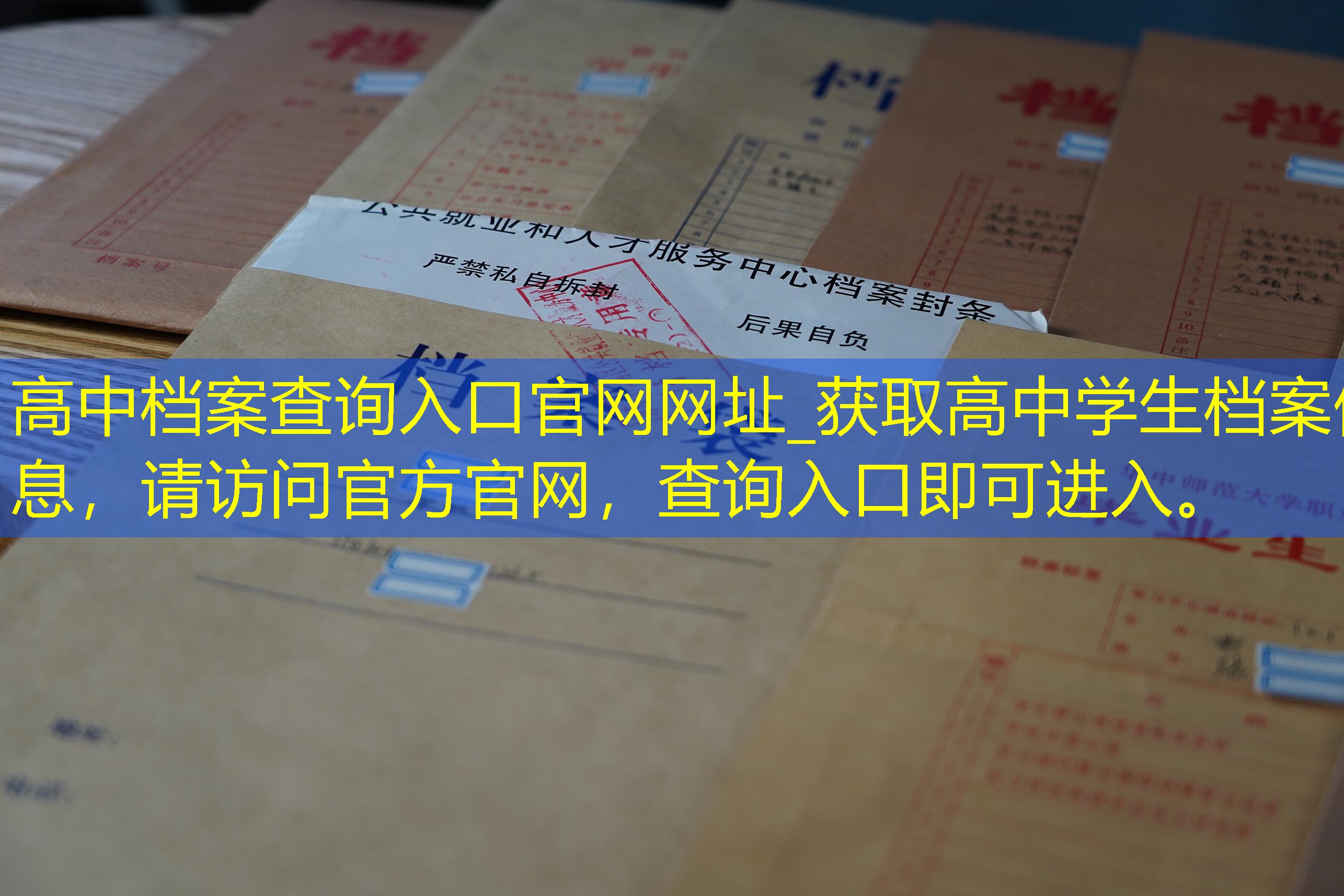 档案查询
