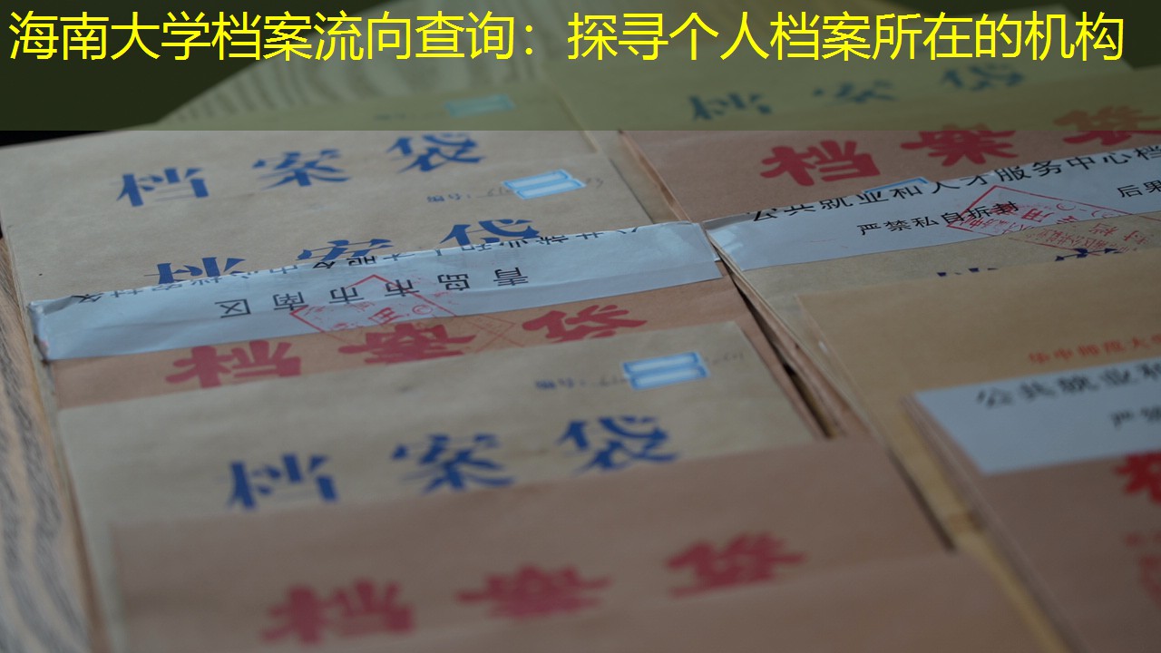 档案查询
