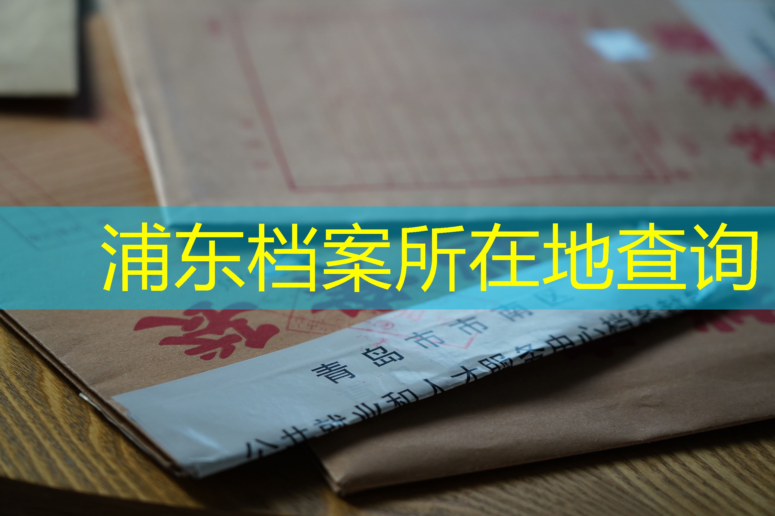 档案查询