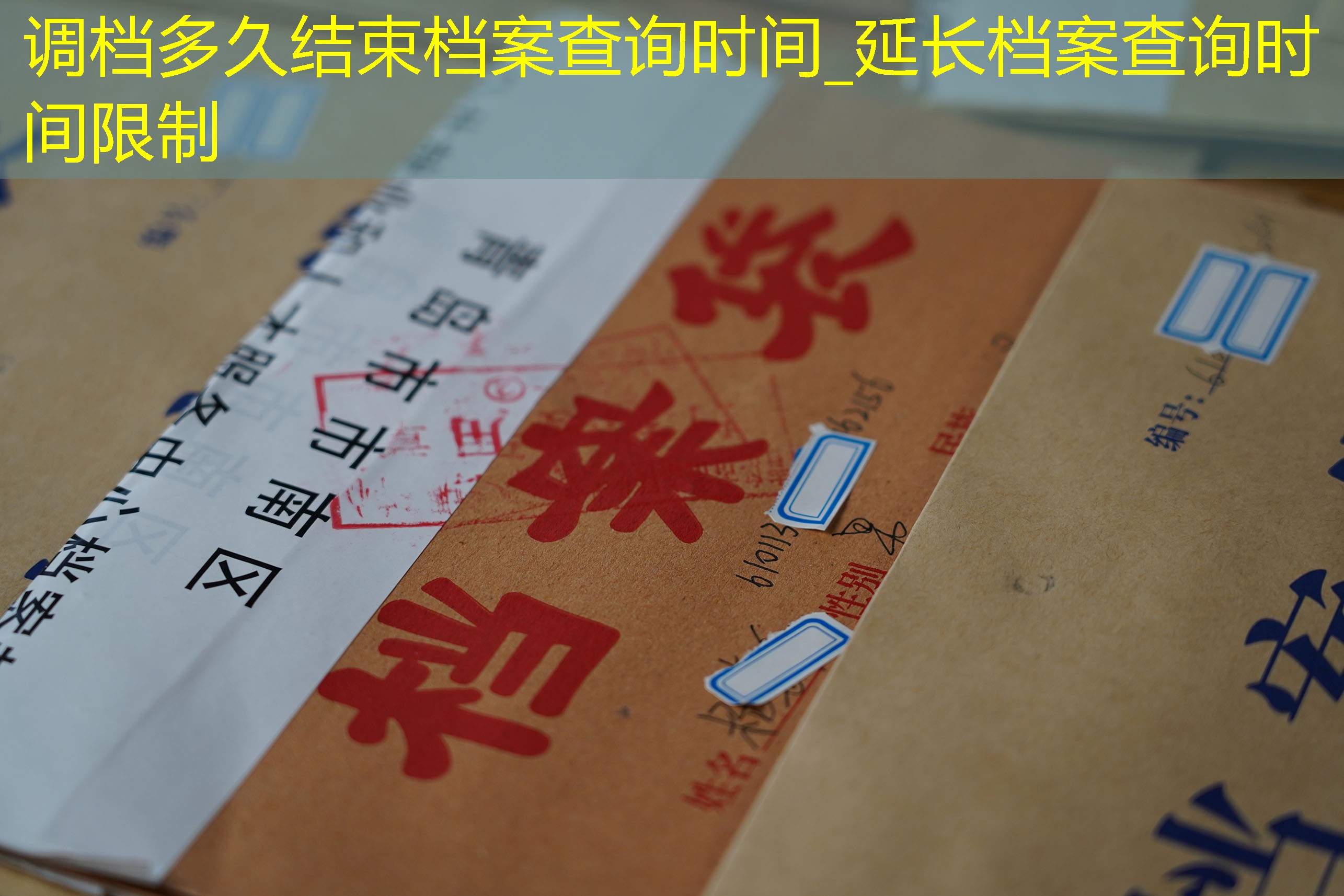 档案查询