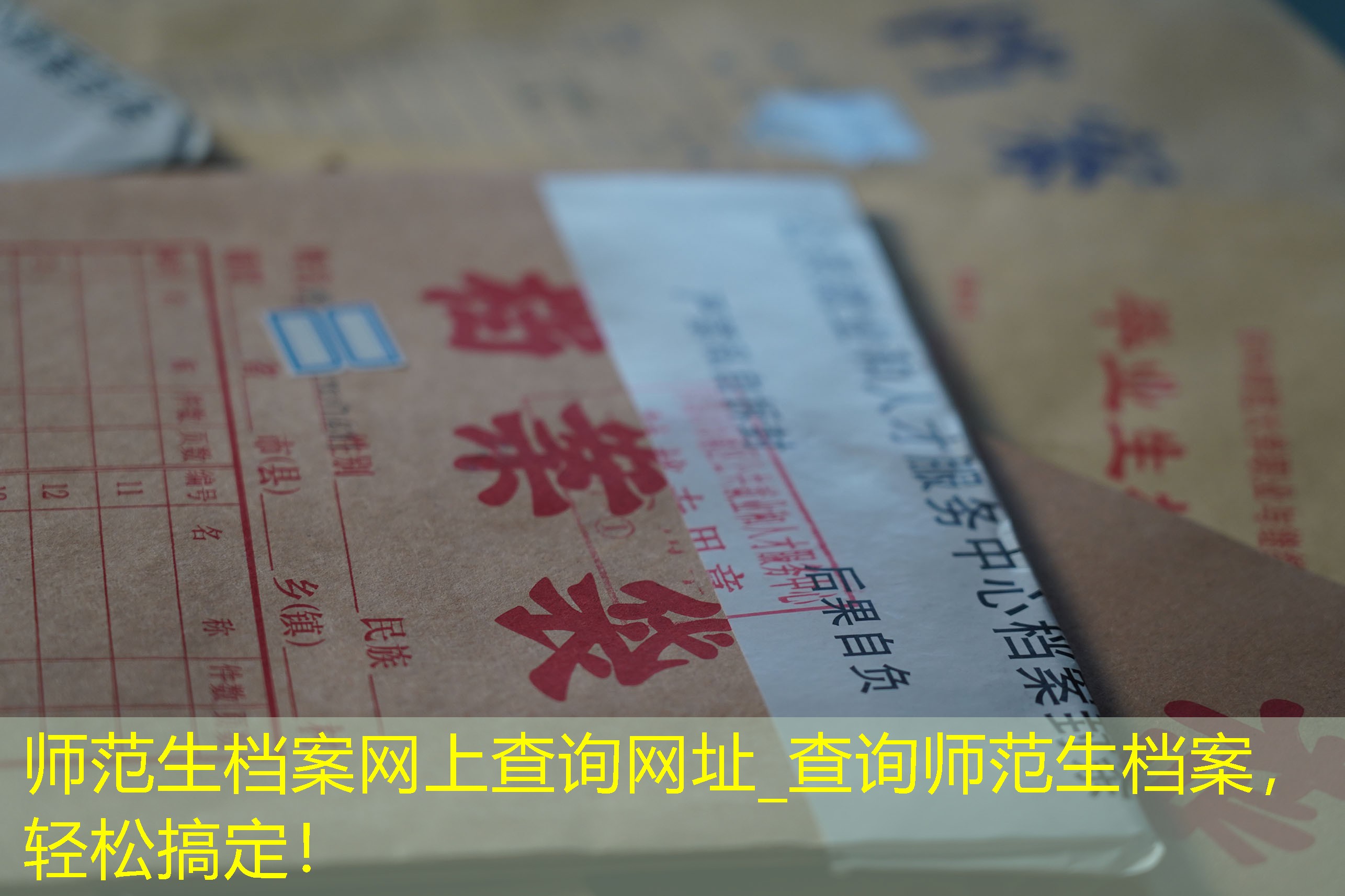 档案查询
