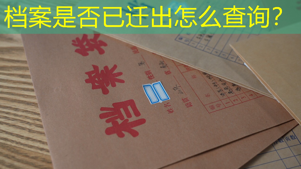 档案查询