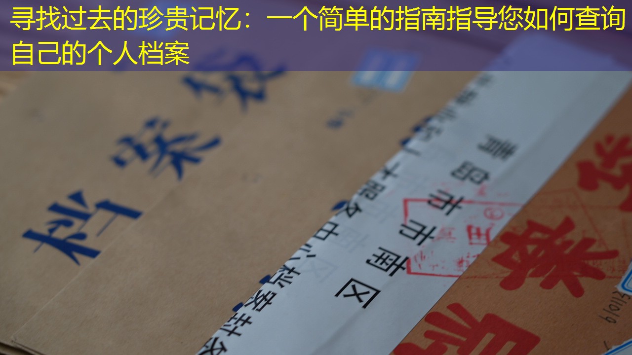 档案查询