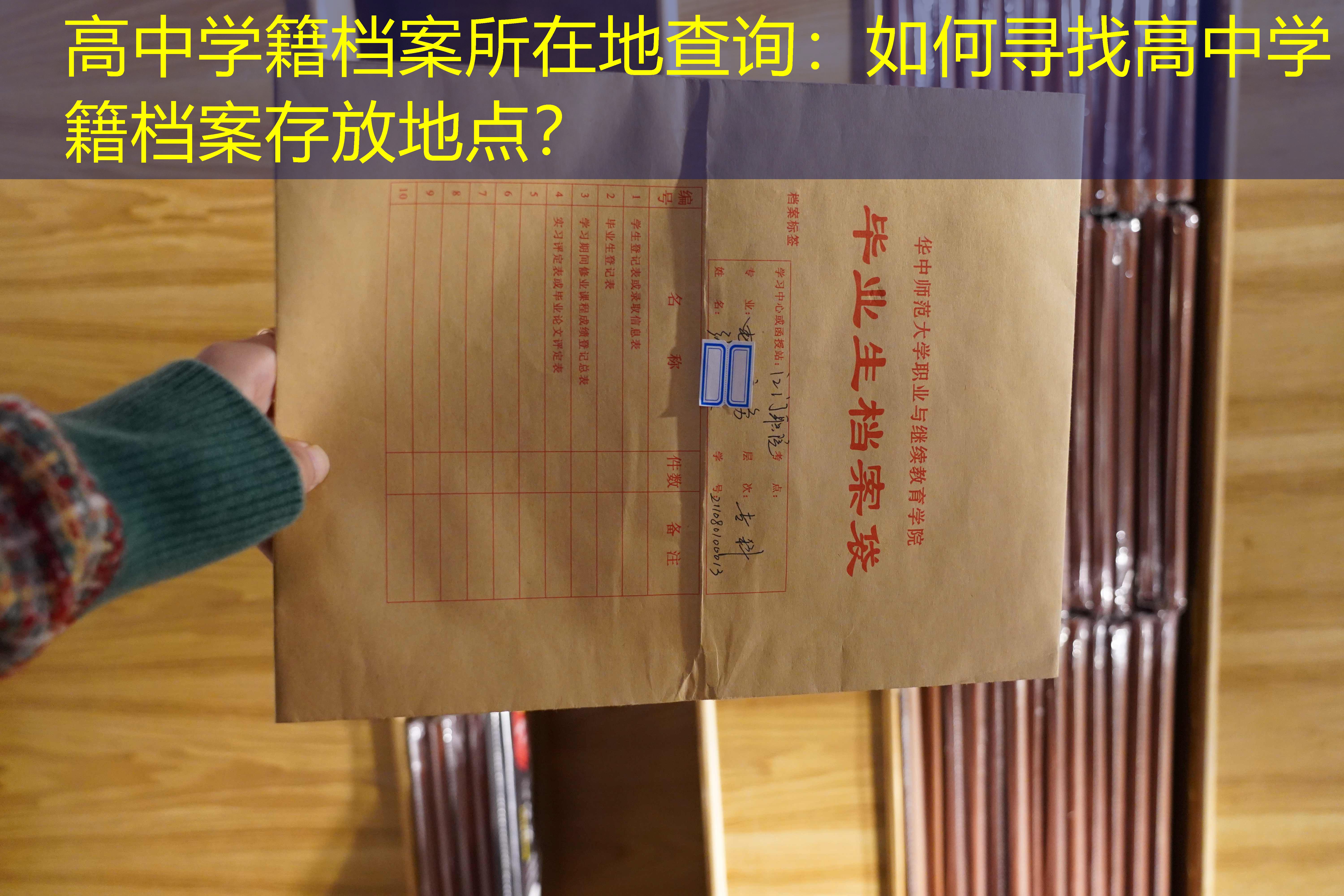档案查询