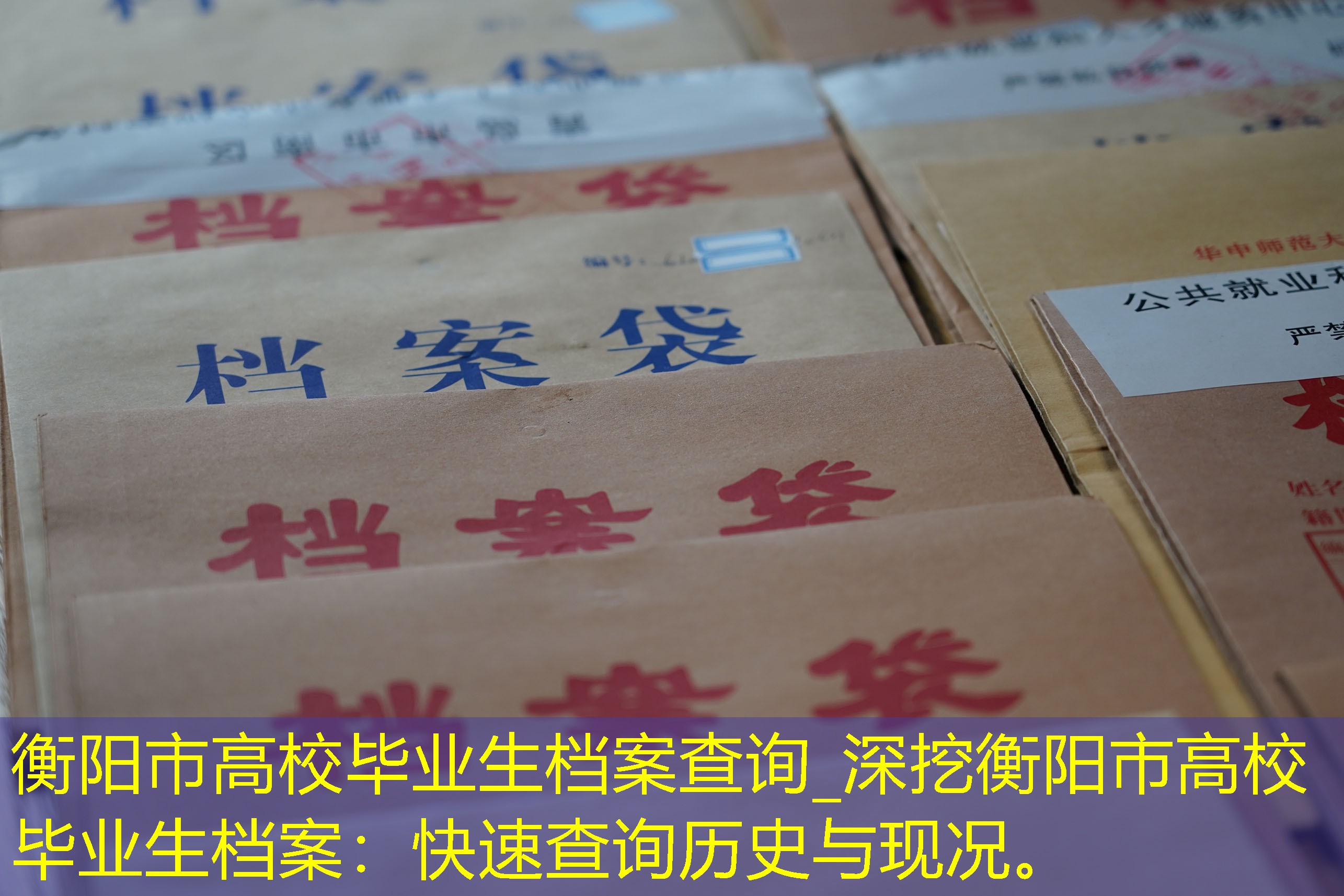 档案查询