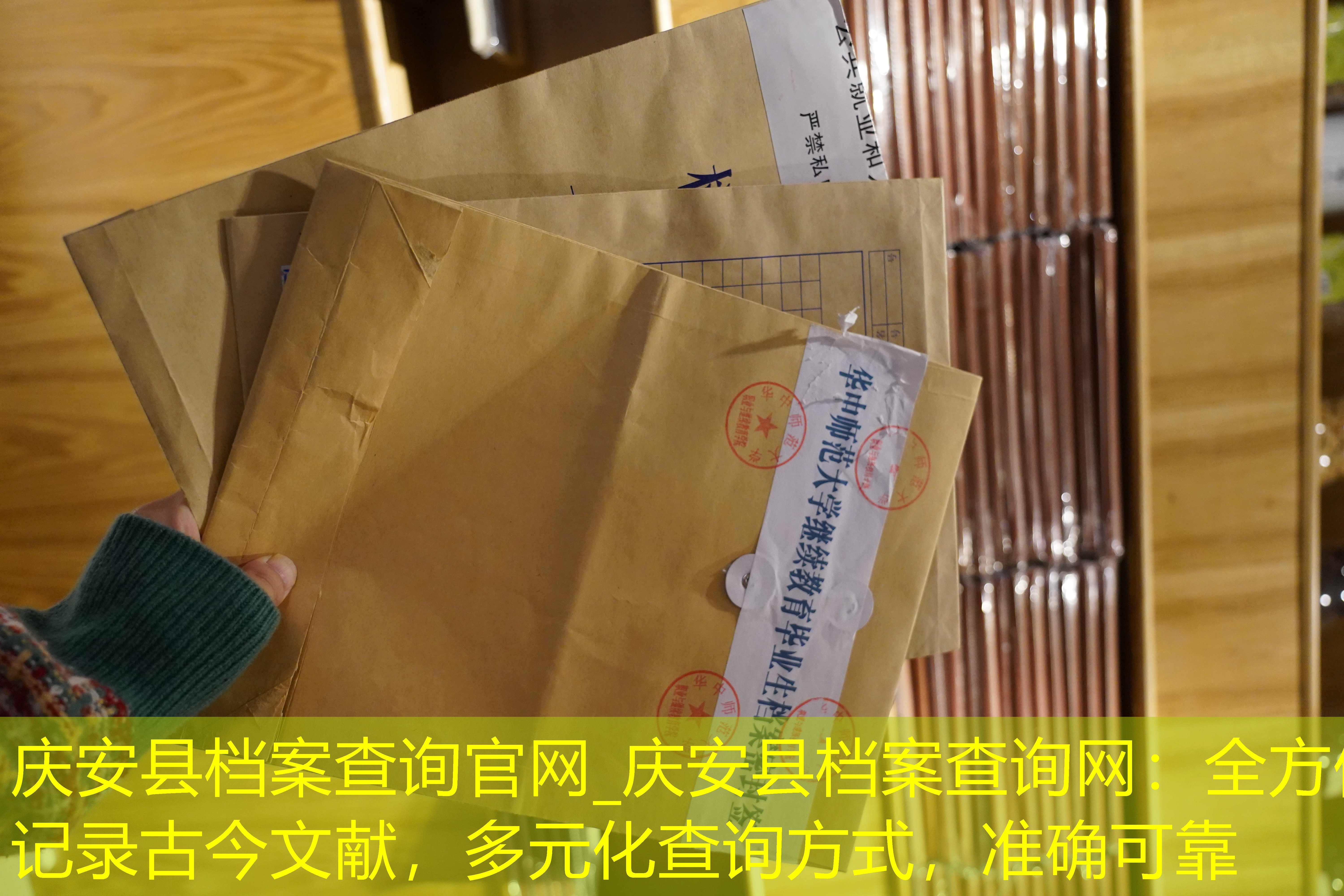 档案查询