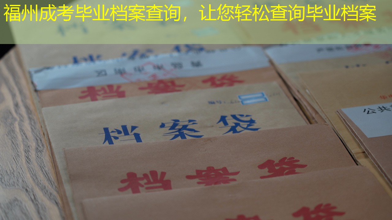 档案查询