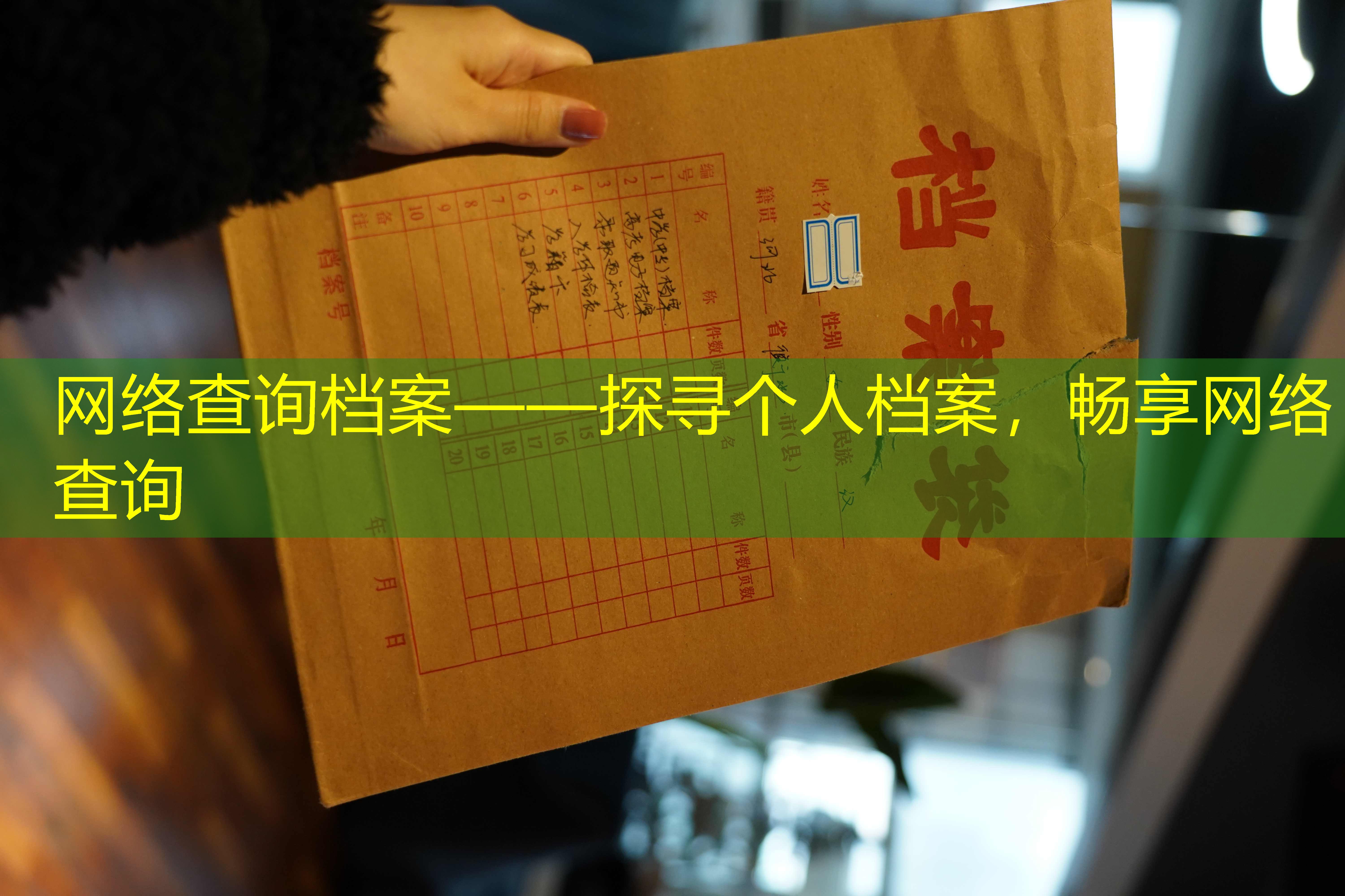 档案查询