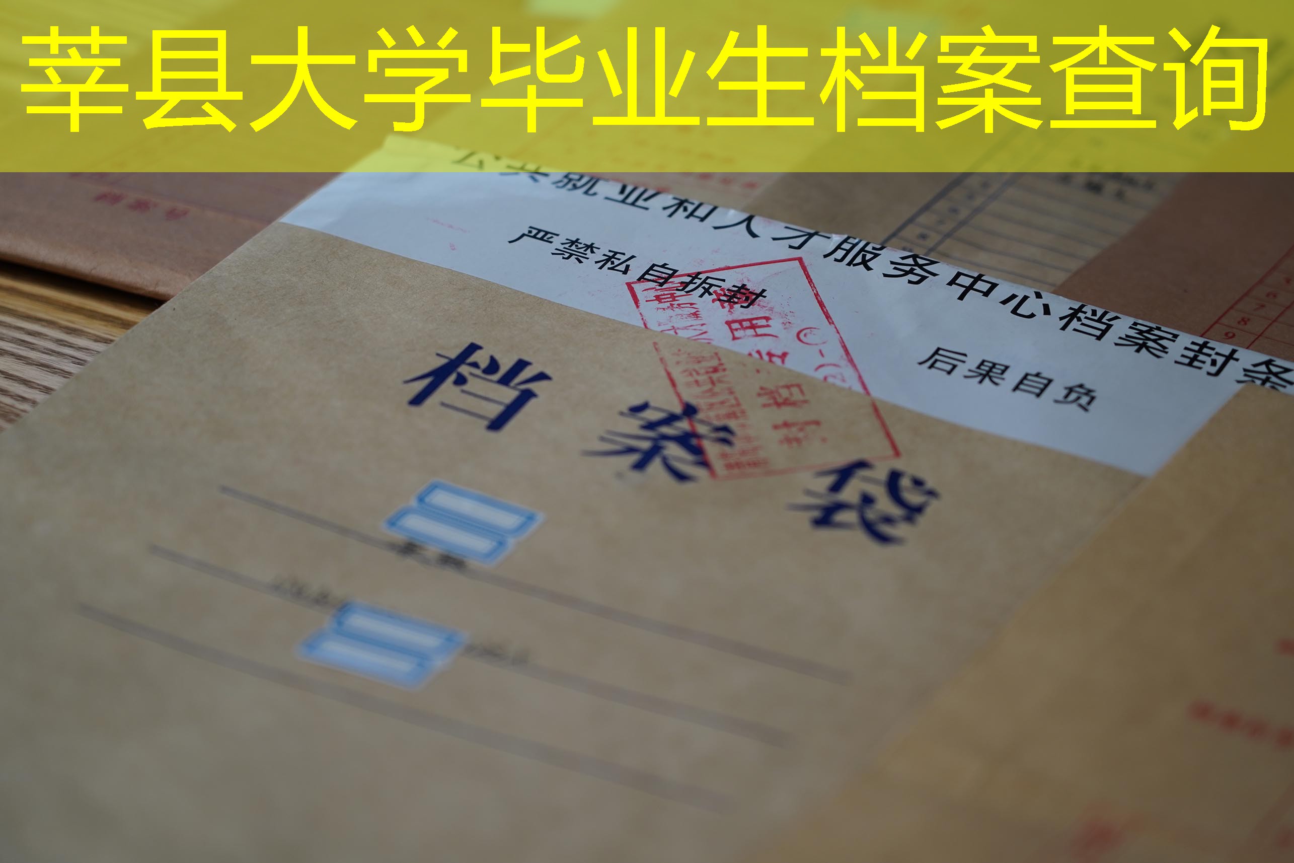 档案查询
