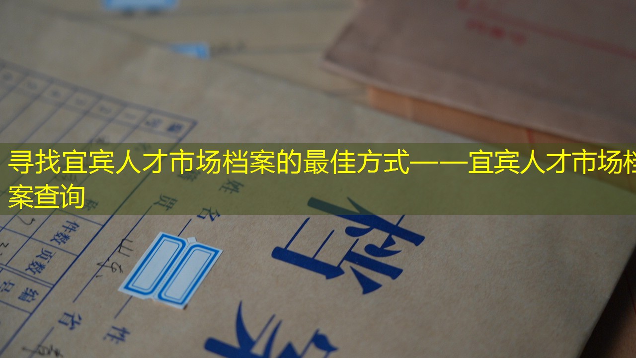 档案查询