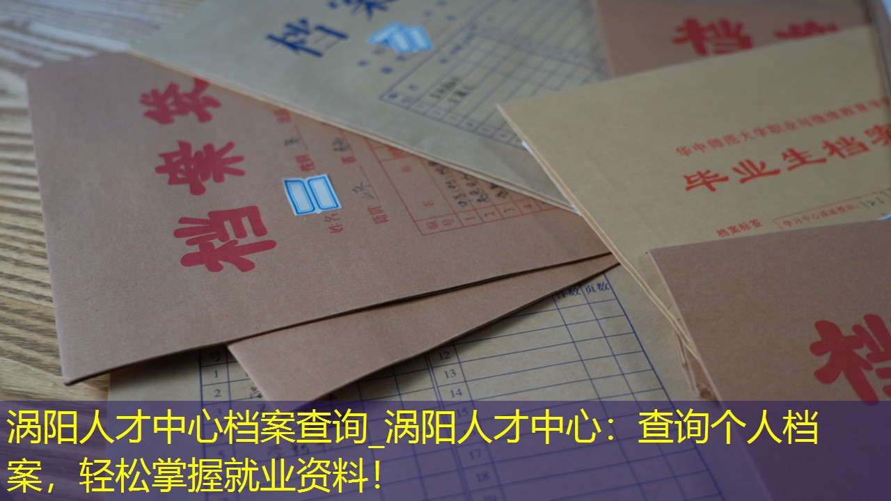 档案查询
