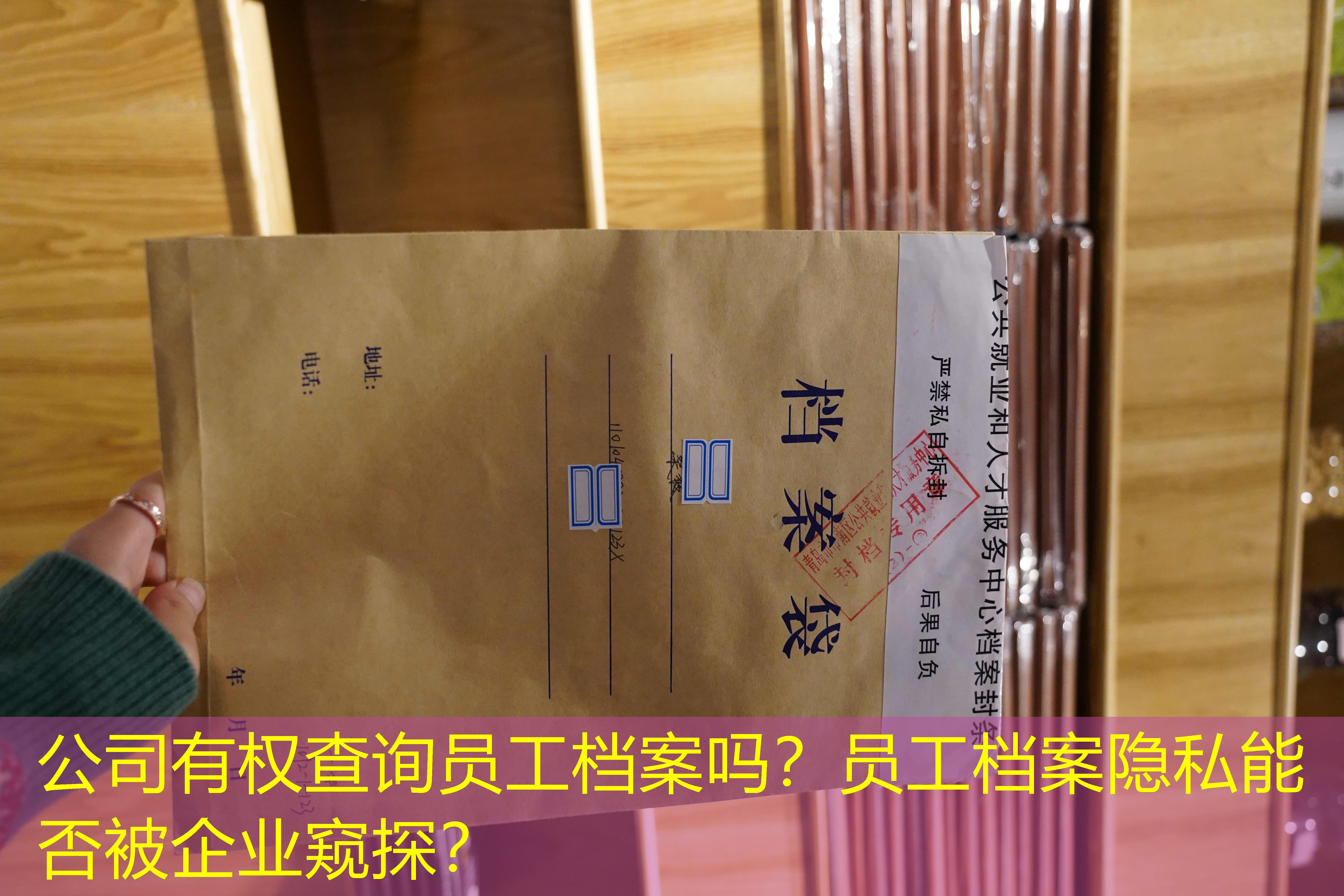档案查询