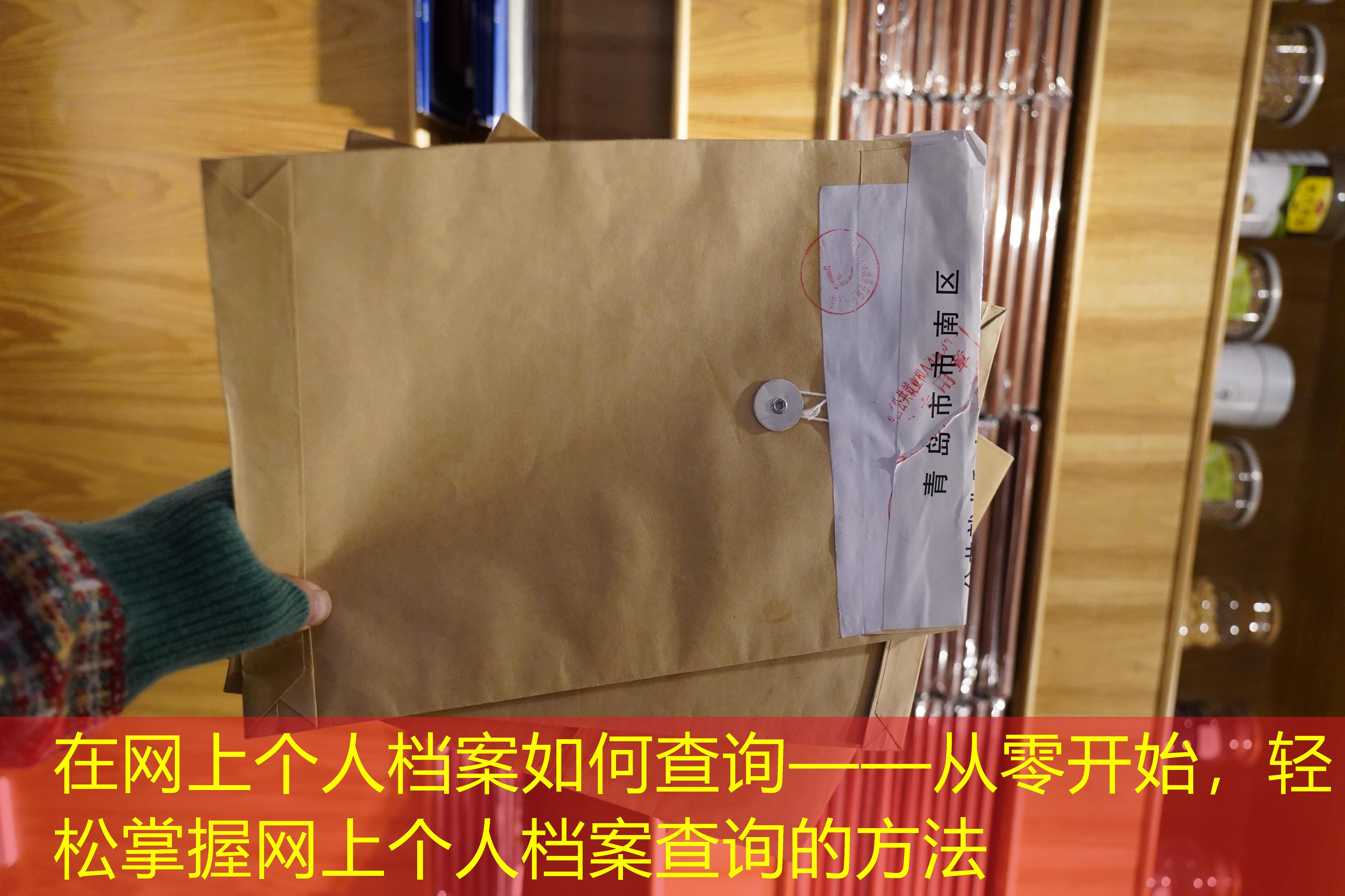 档案查询