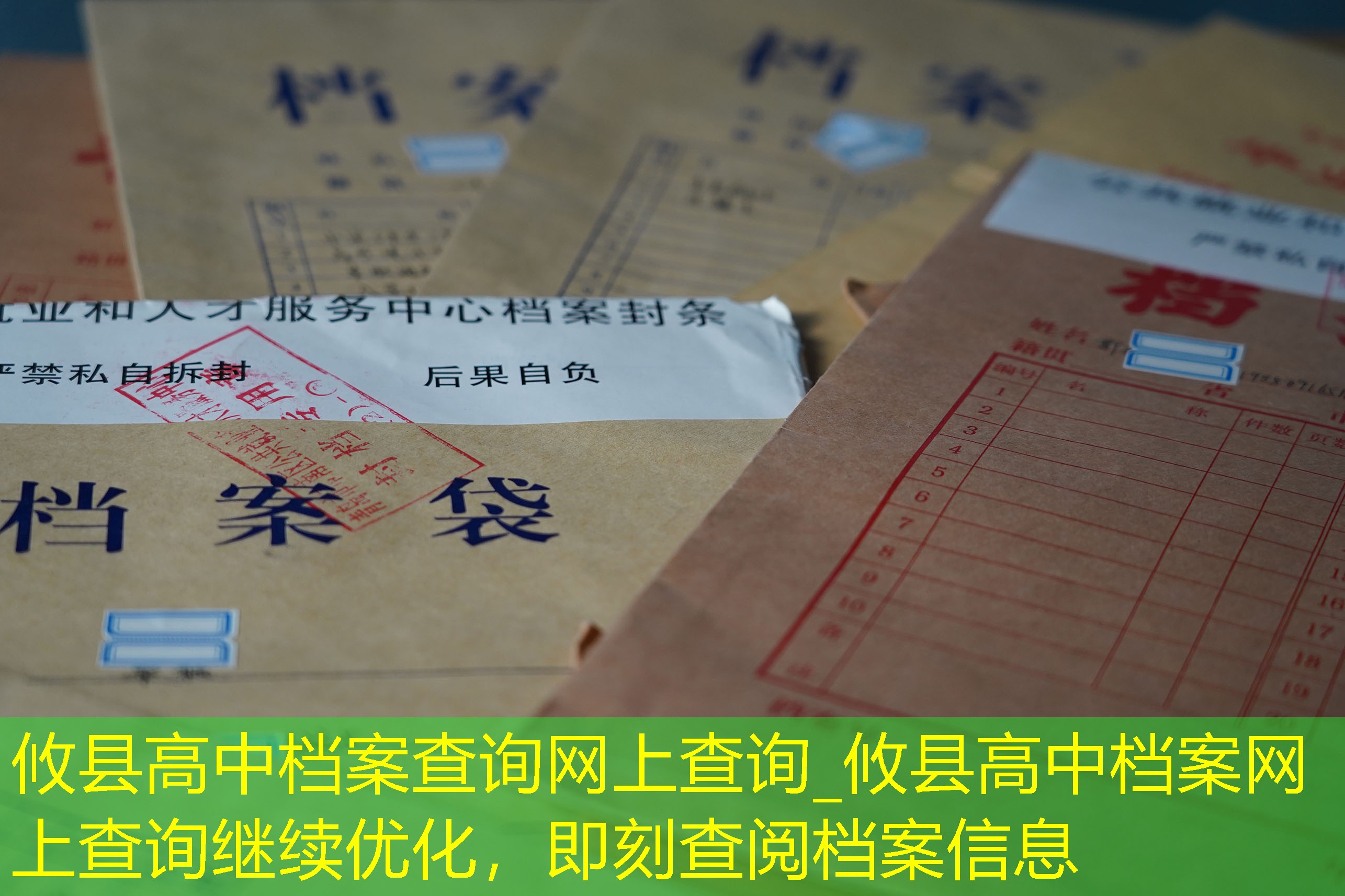 档案查询