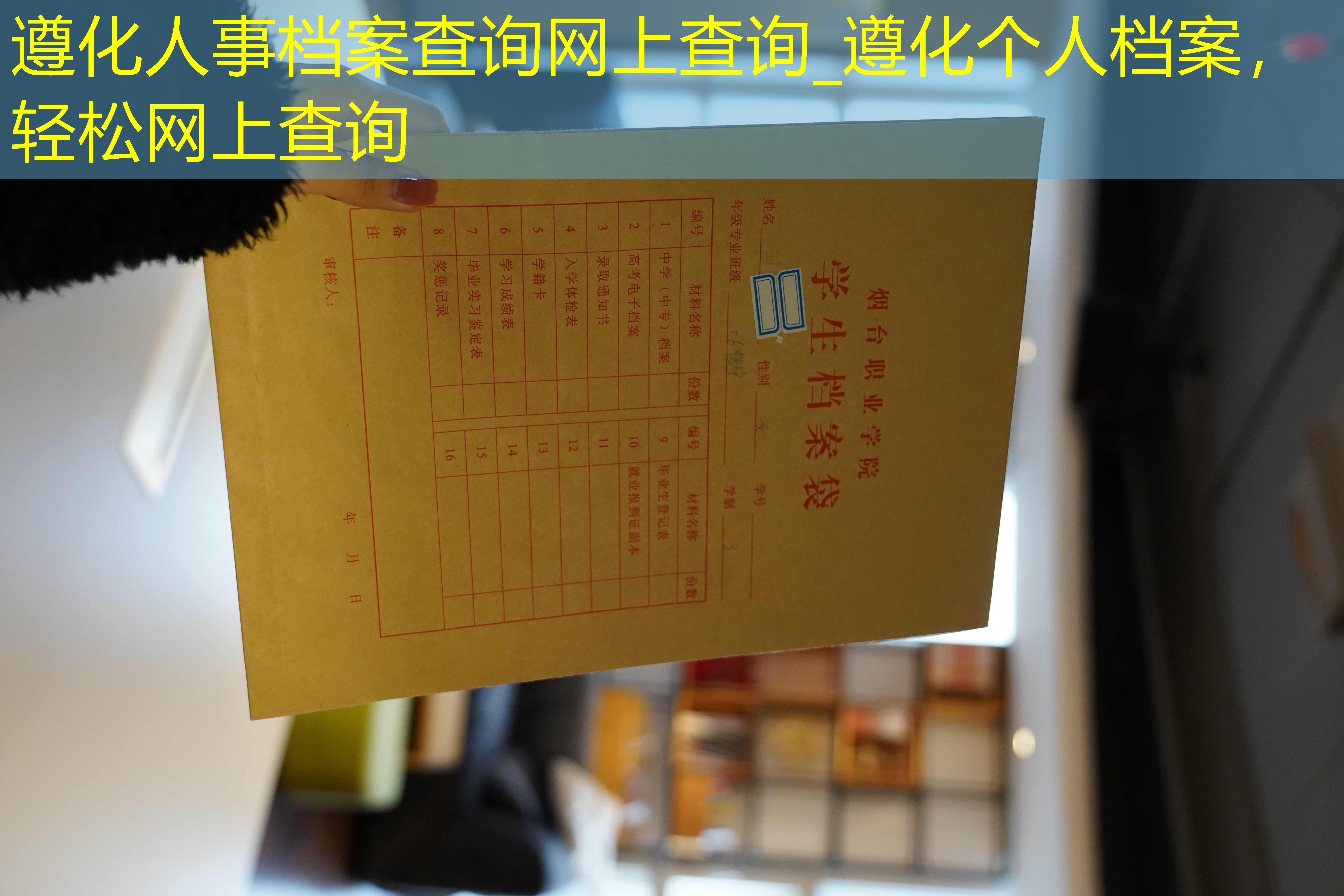 档案查询
