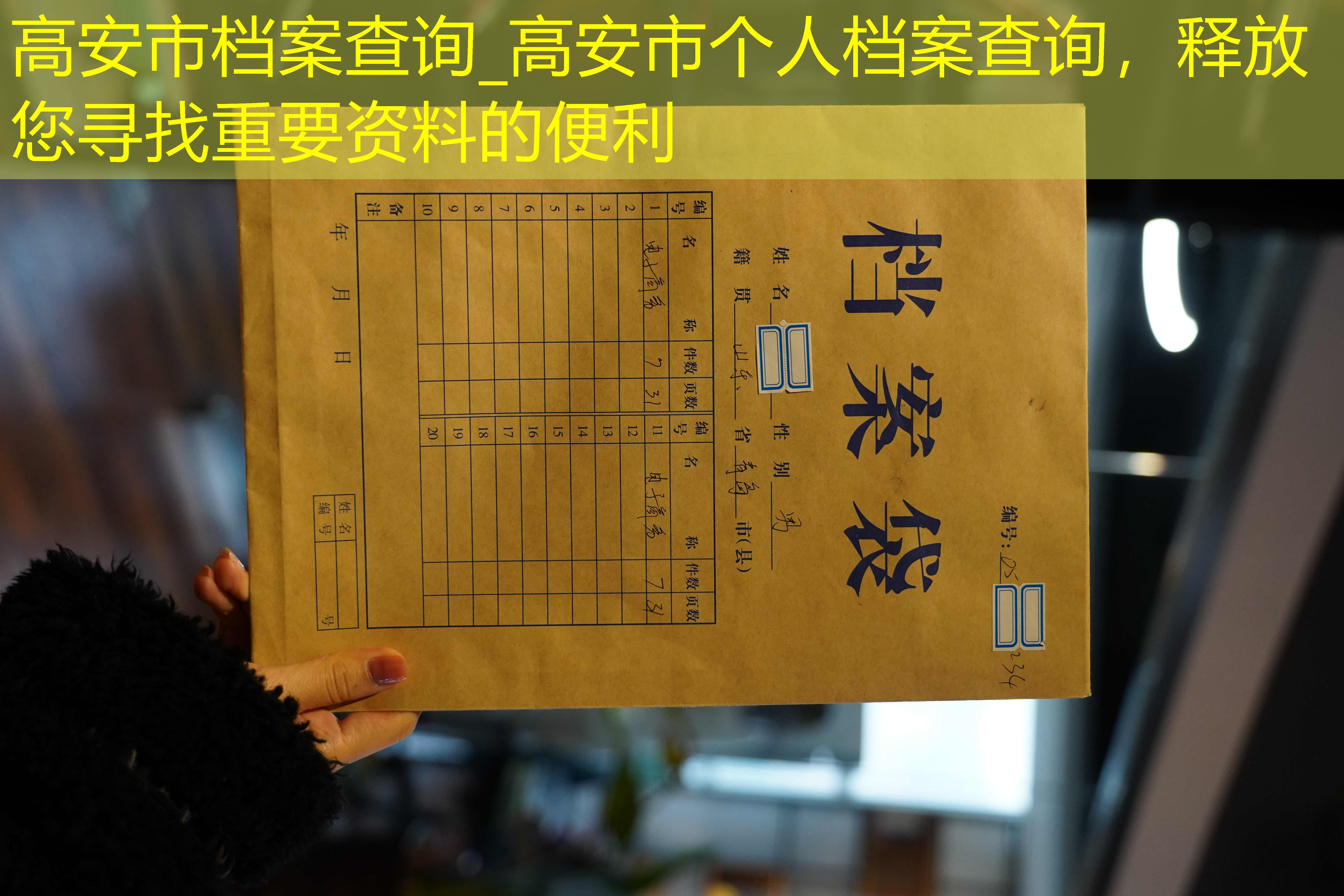 档案查询