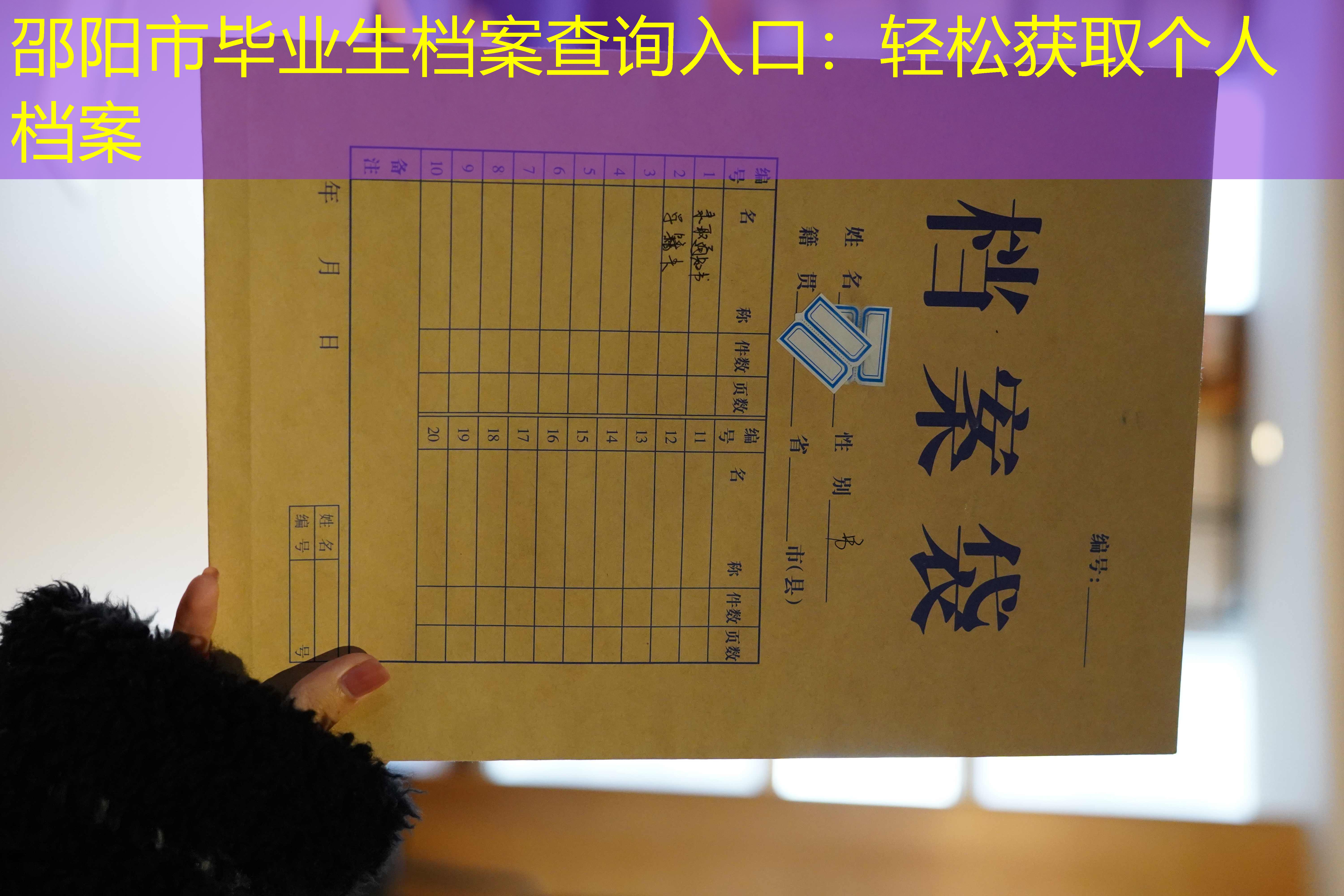 档案查询