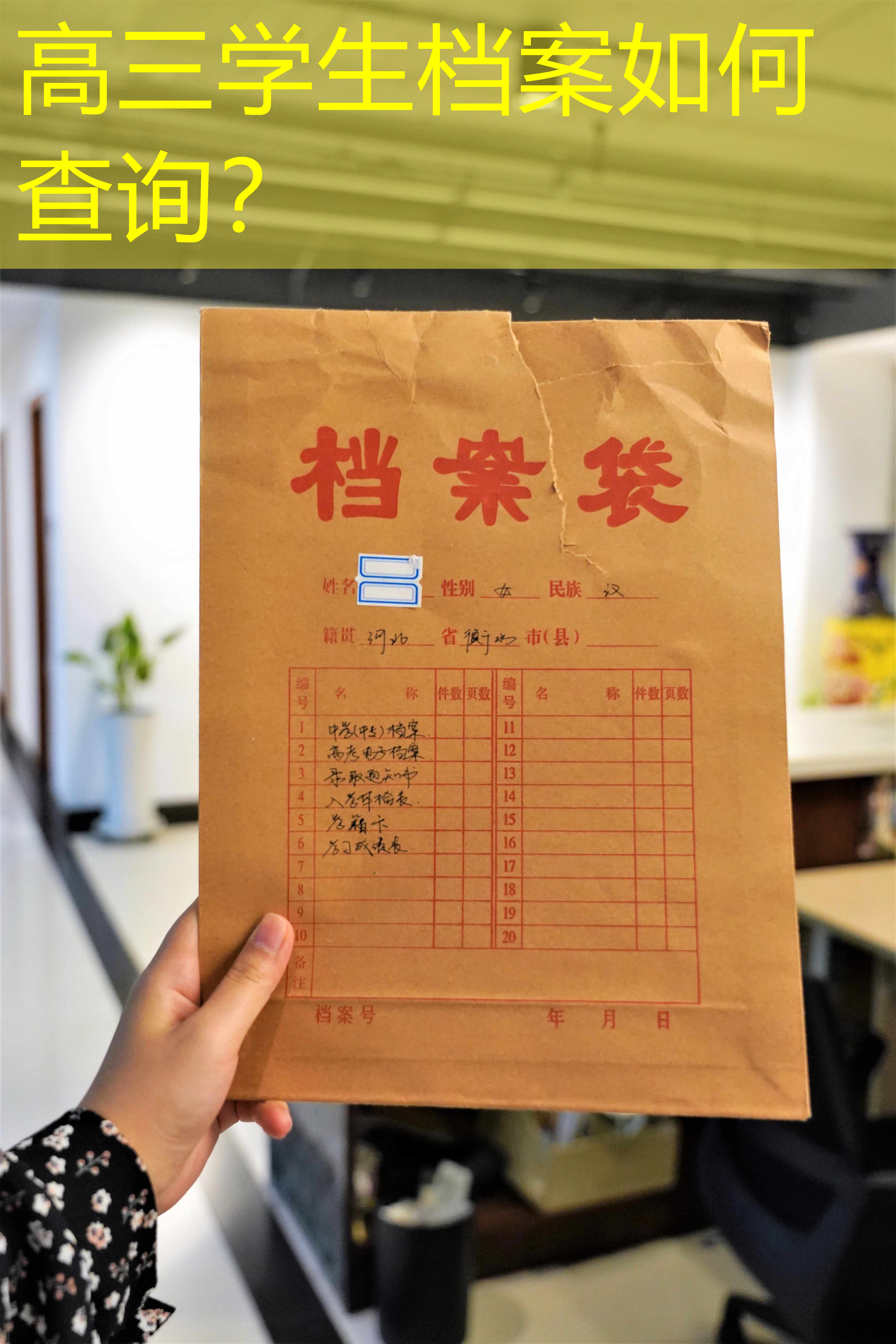 档案查询