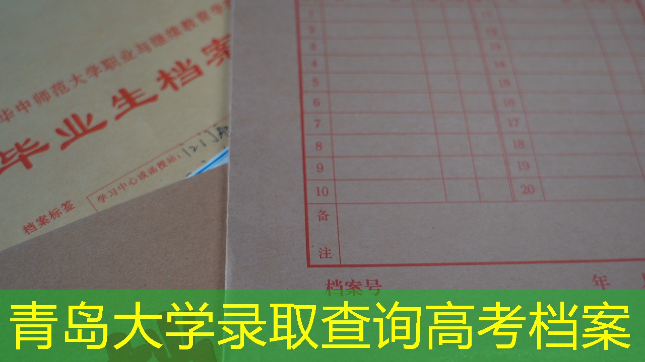 档案查询