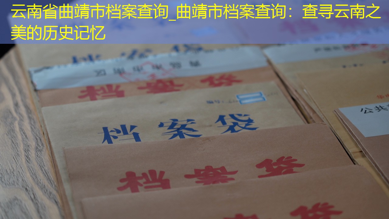 档案查询
