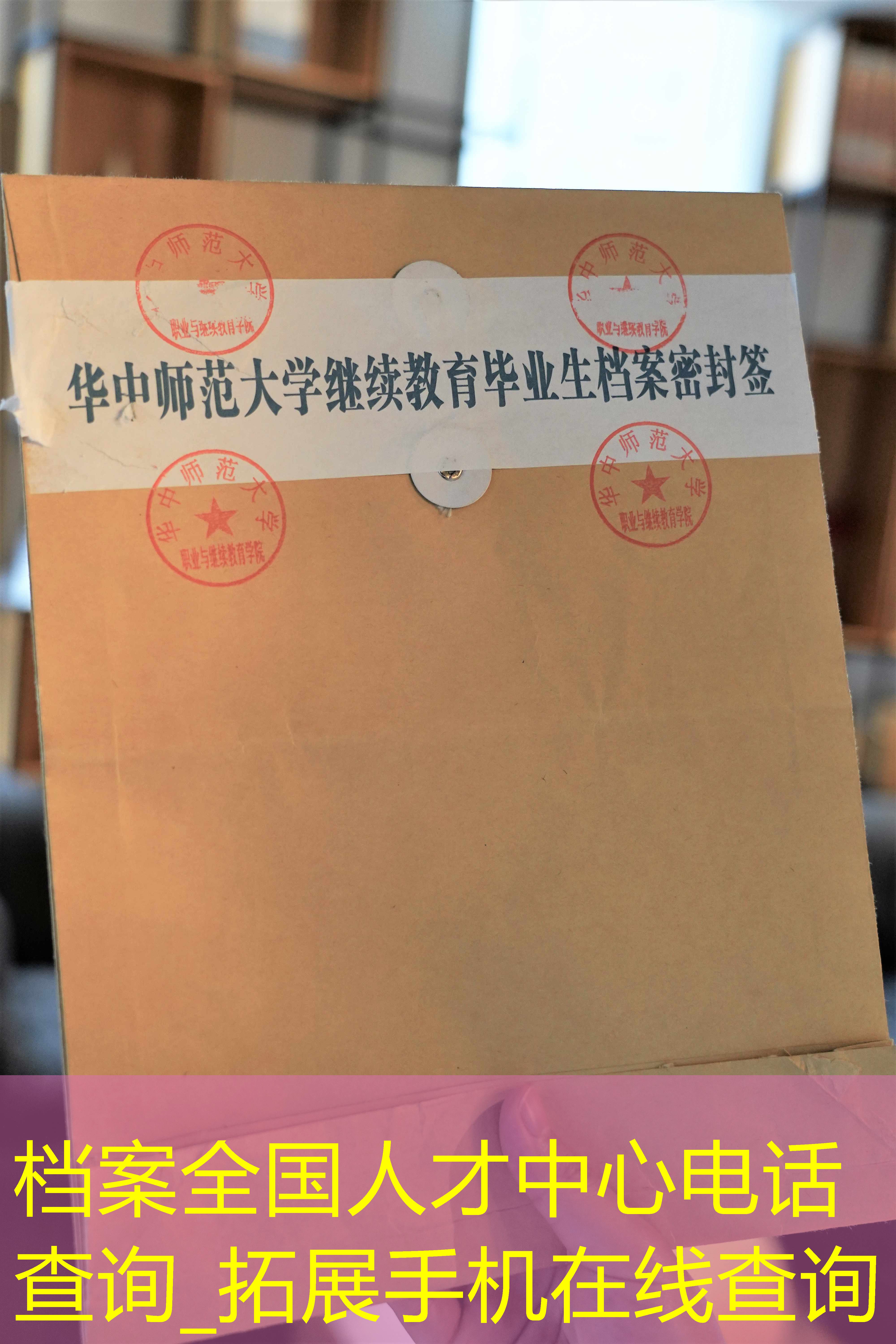 档案查询
