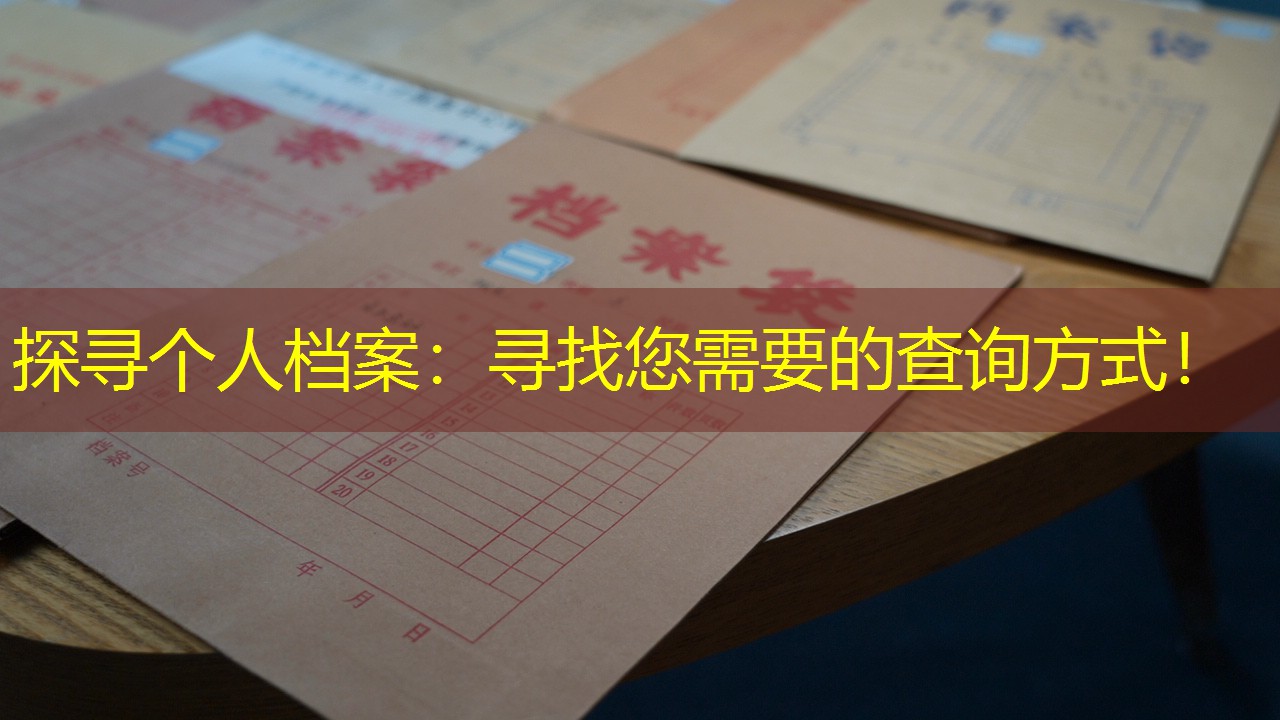 档案查询