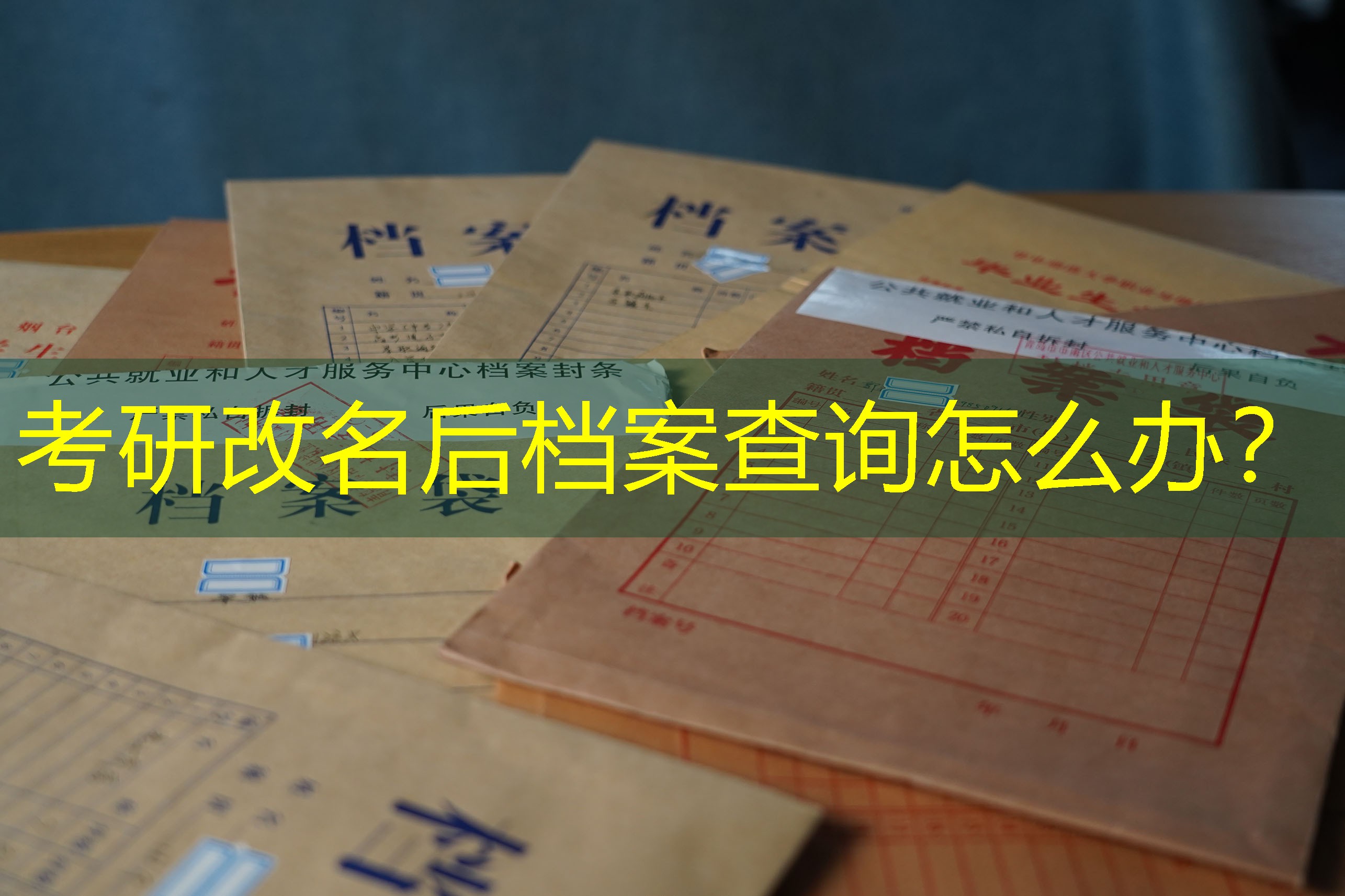 档案查询
