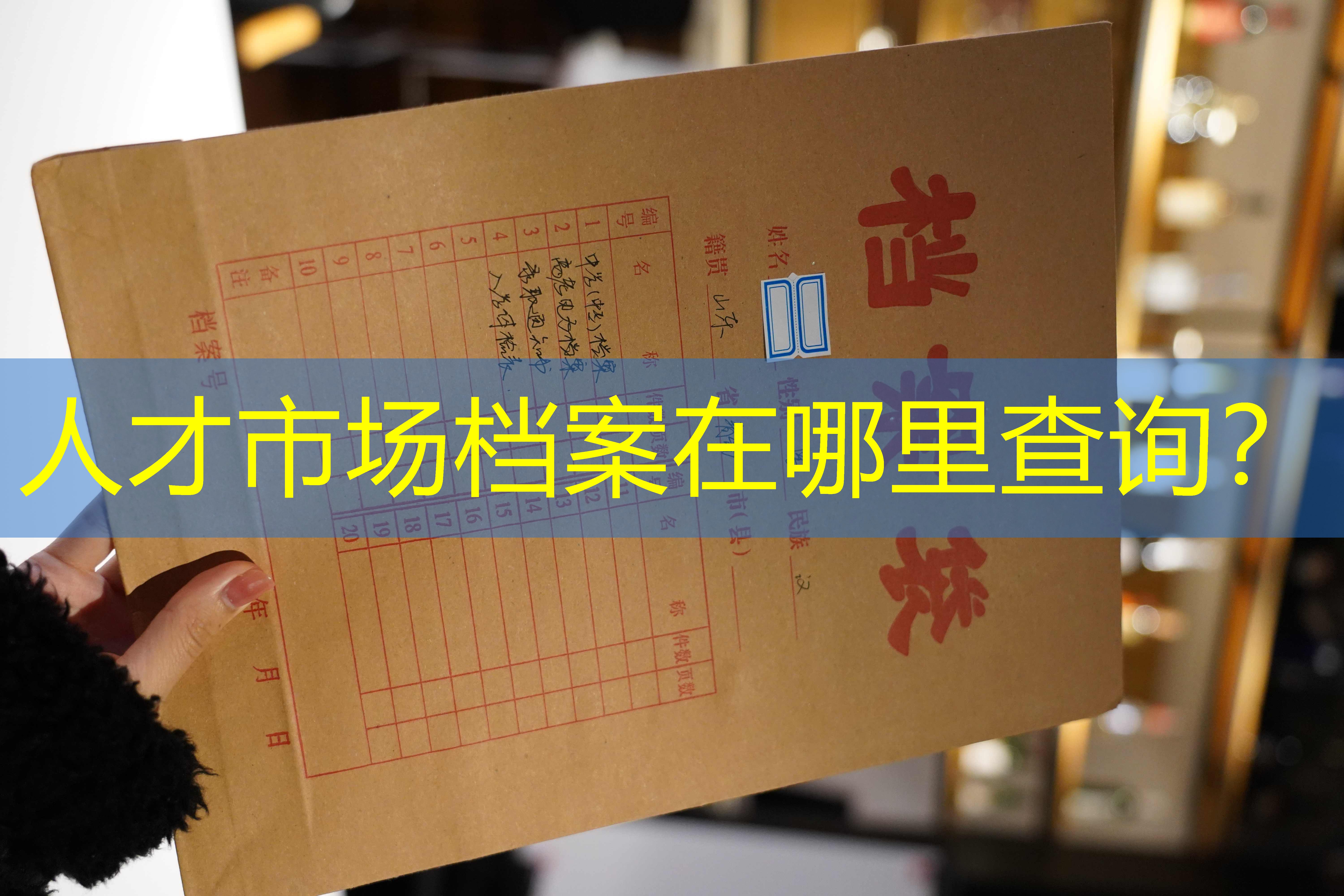 档案查询