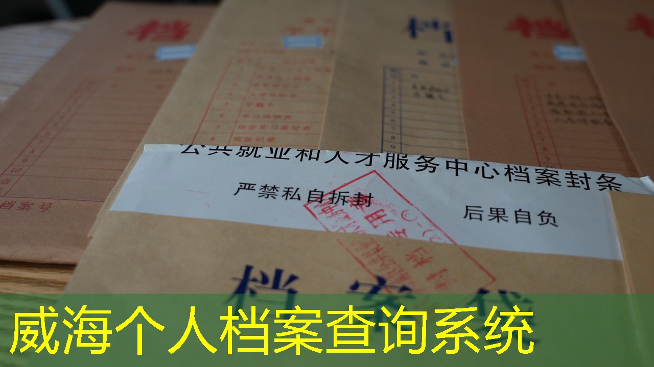 档案查询