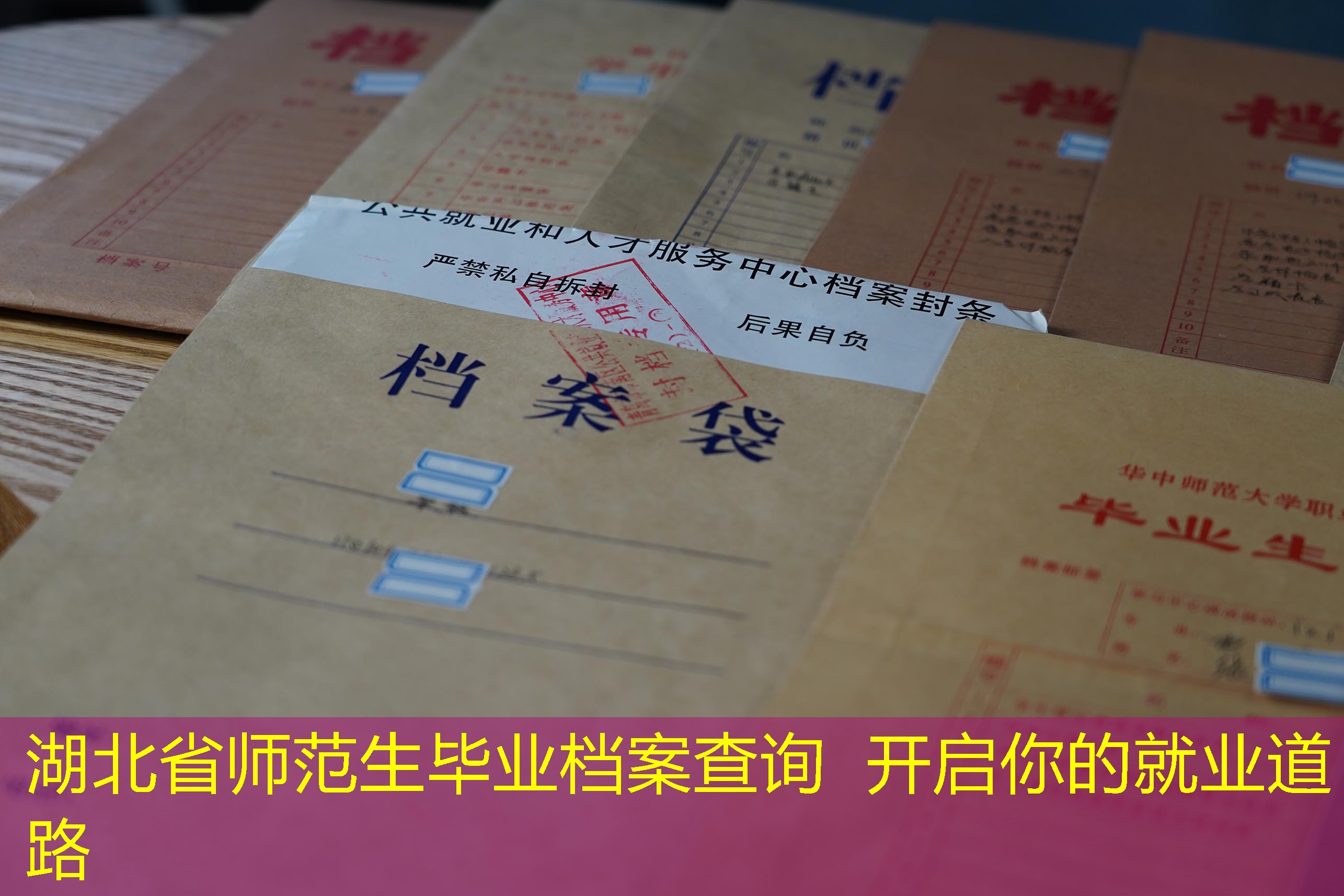 档案查询