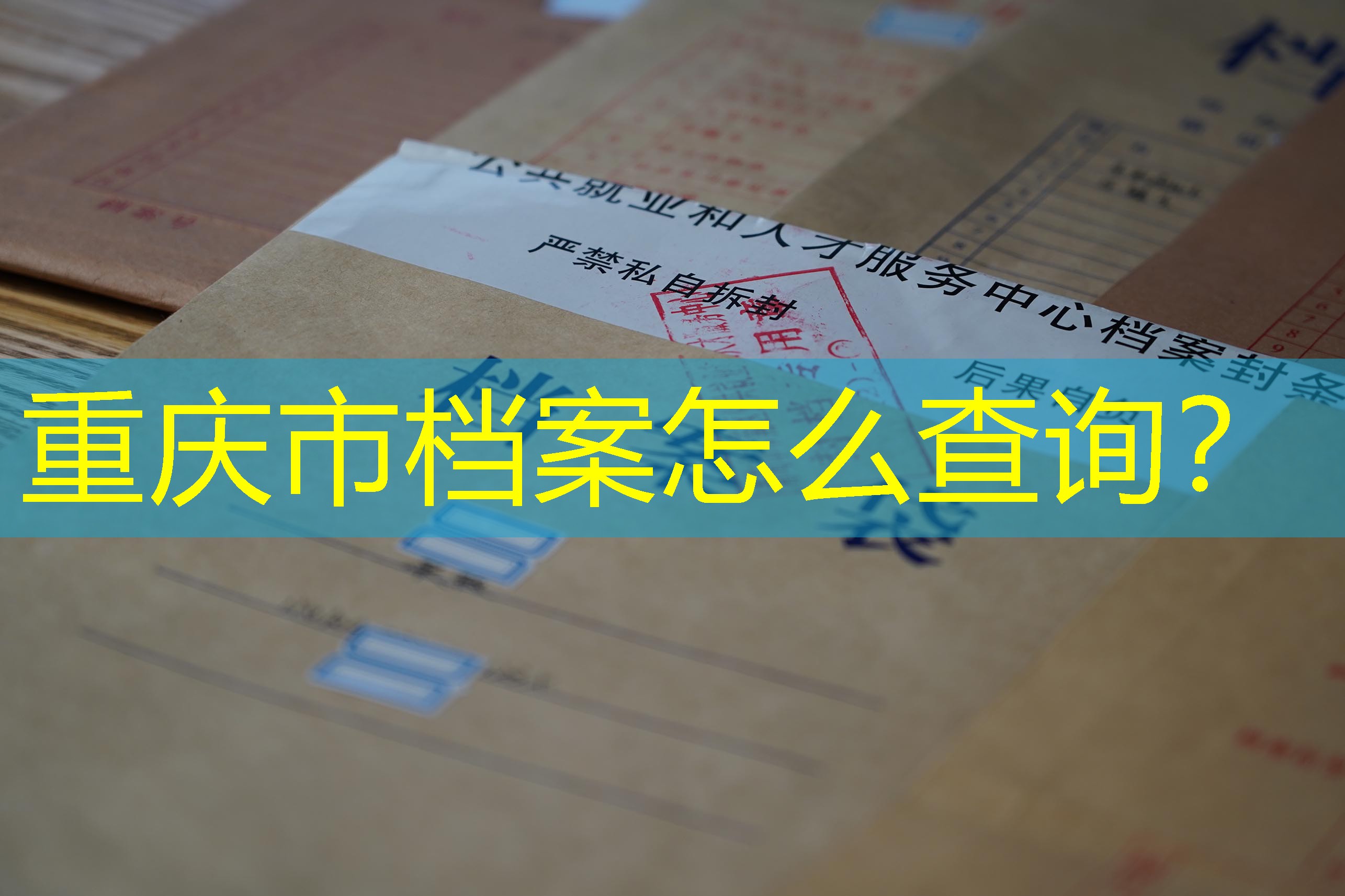 档案查询