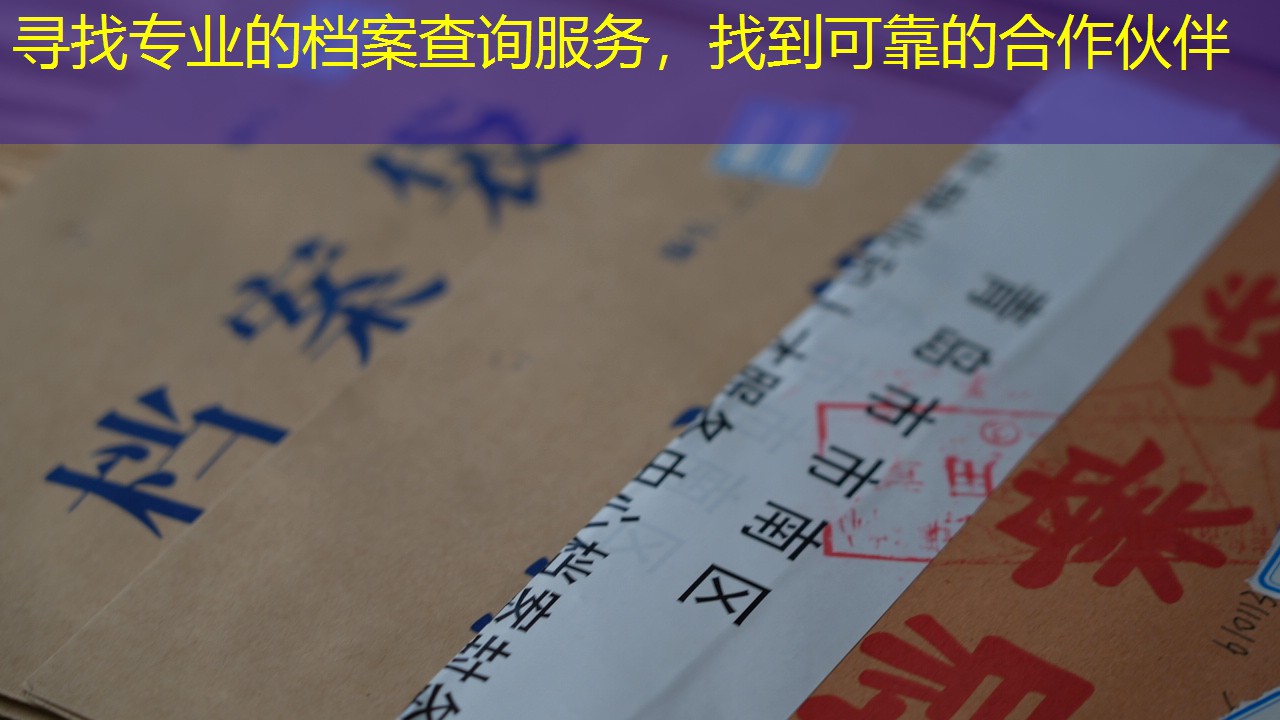 档案查询