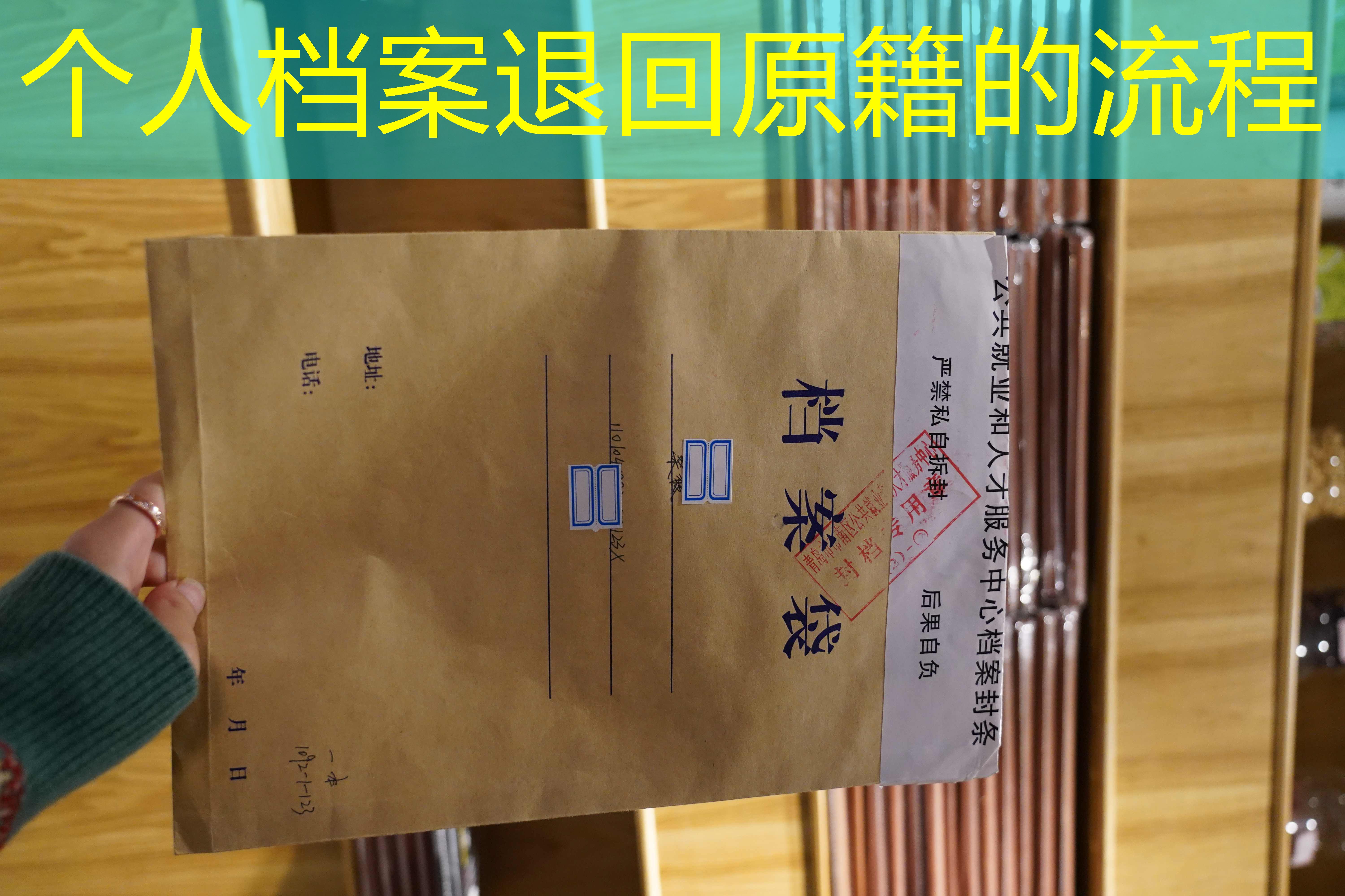 档案查询