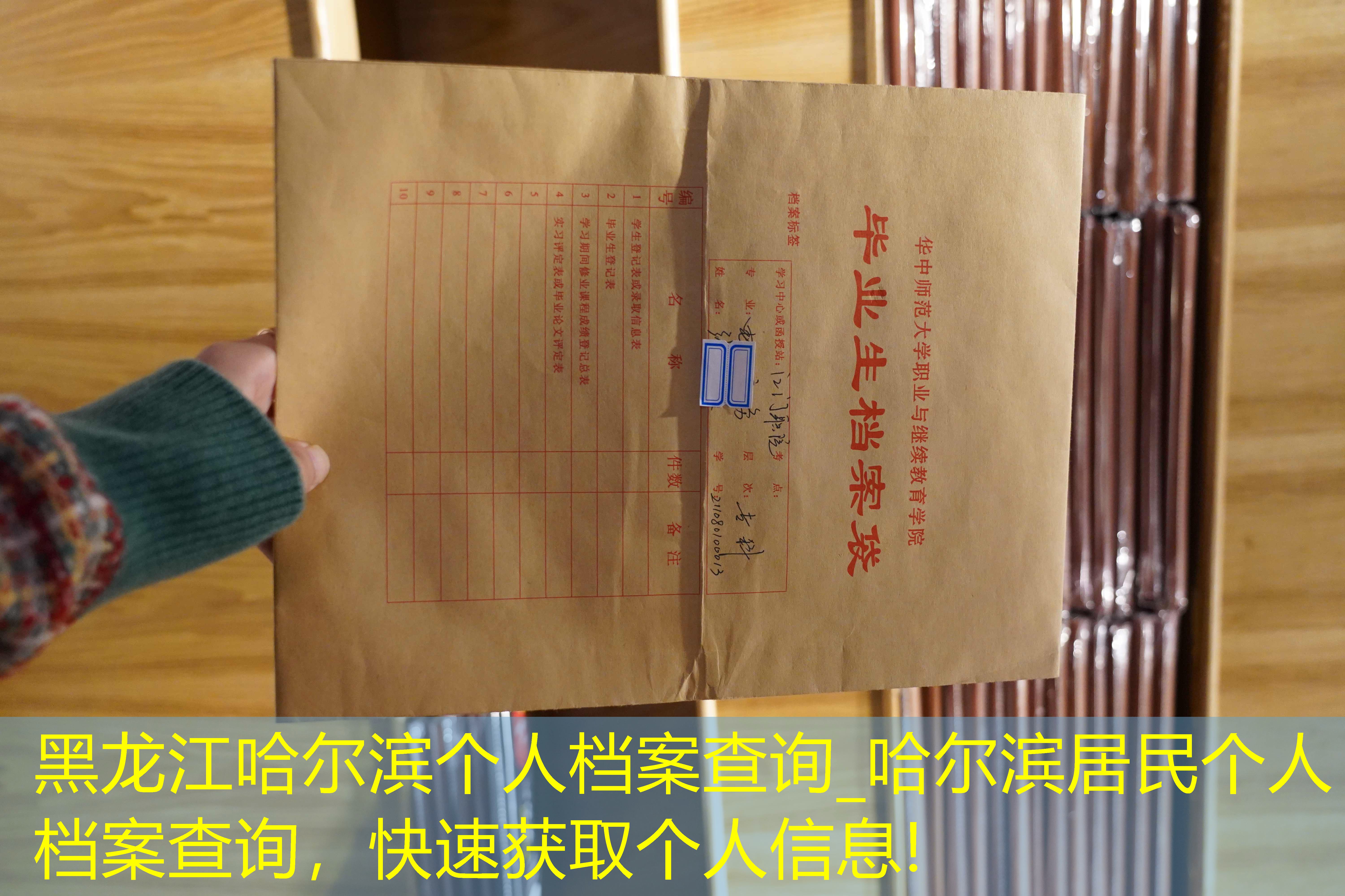 档案查询