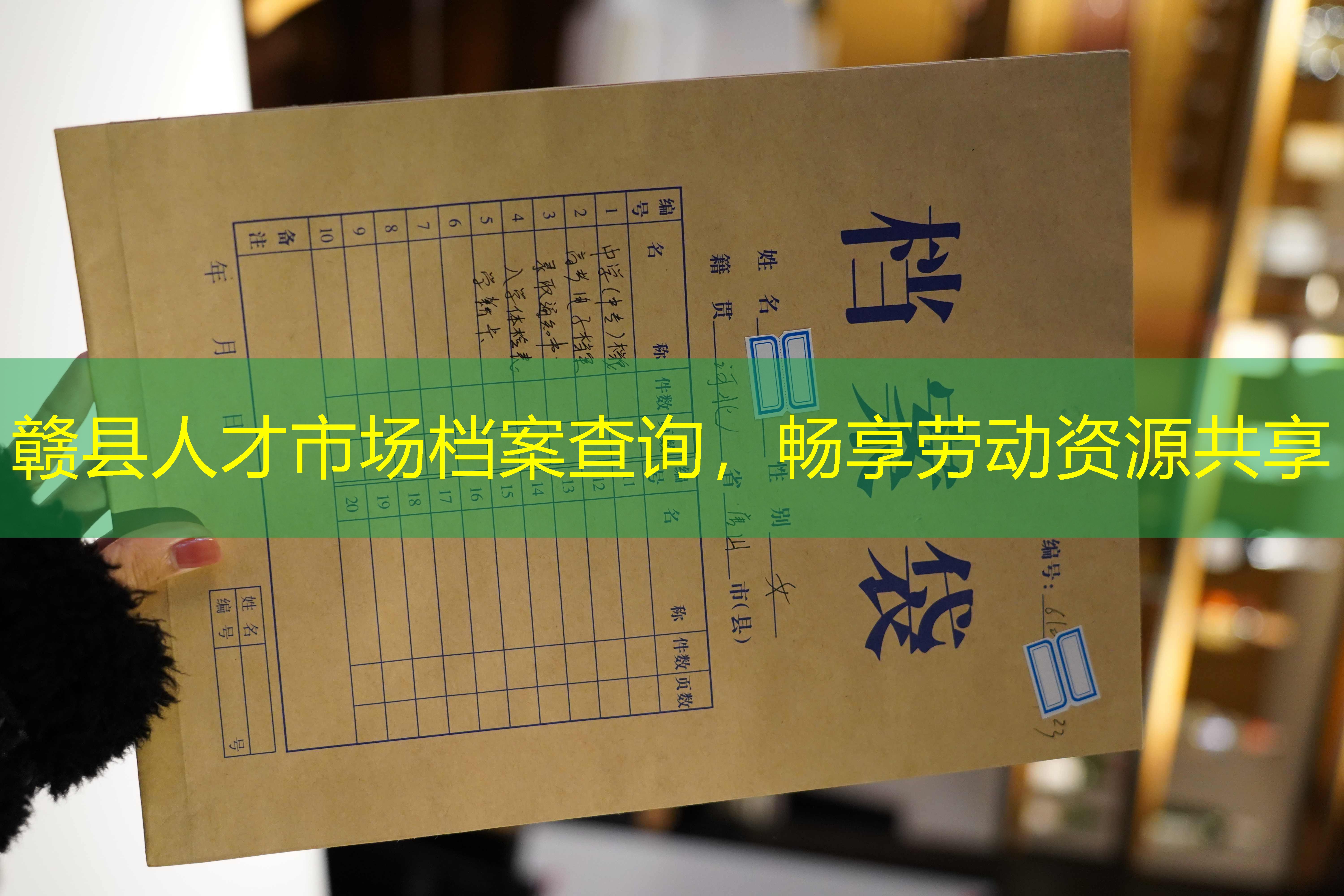 档案查询