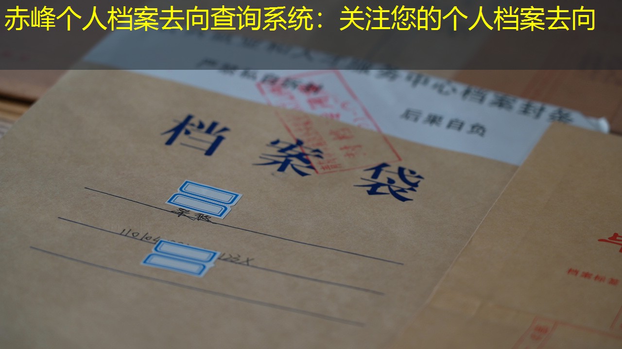 档案查询