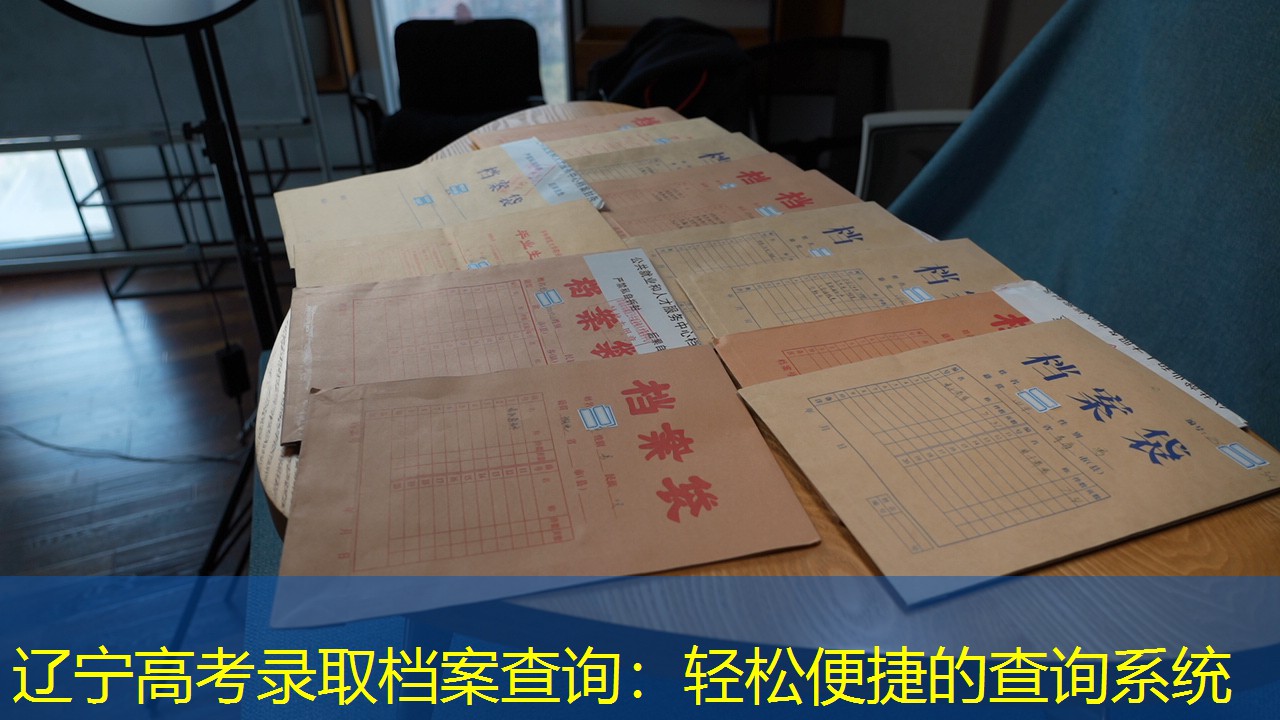 档案查询