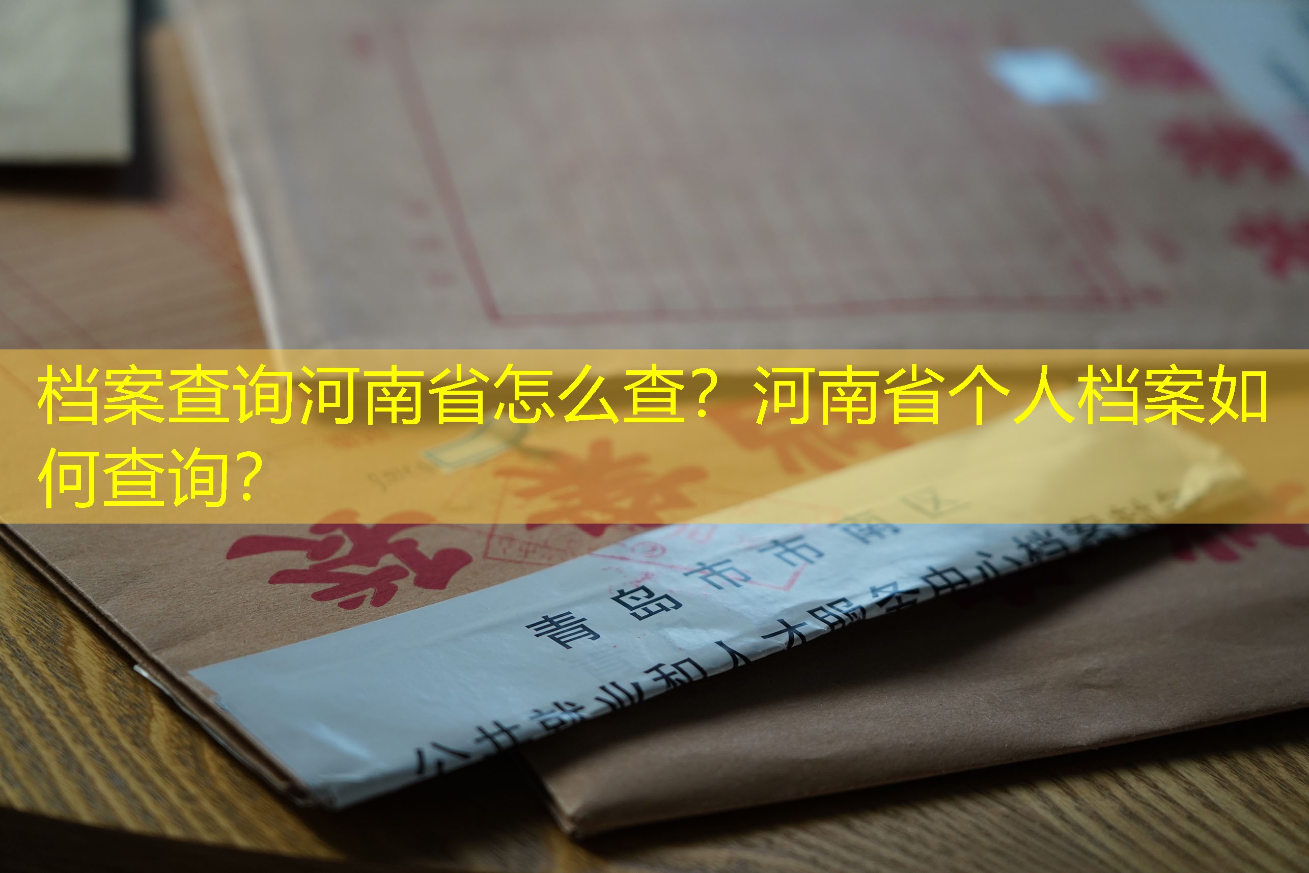 档案查询