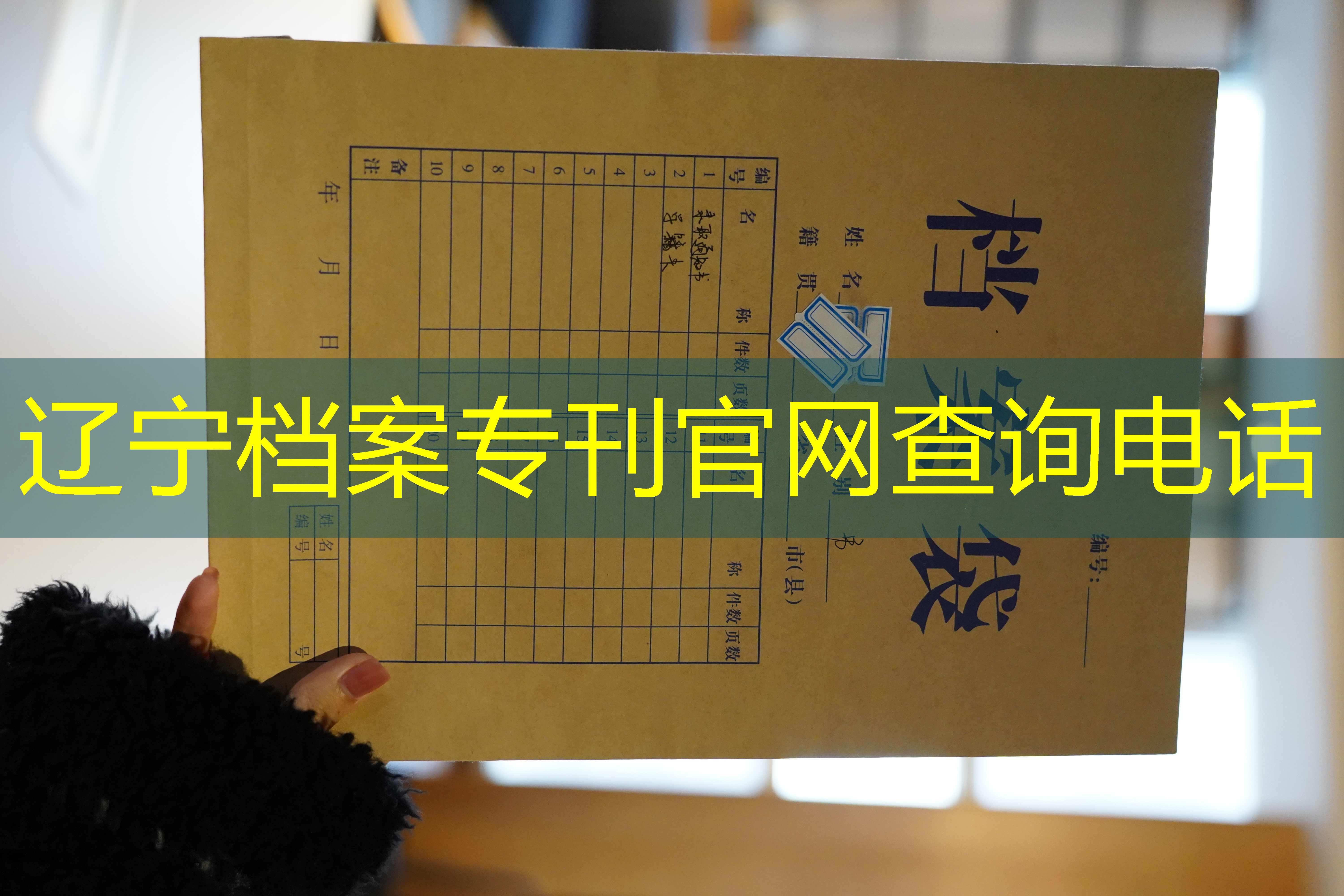 档案查询