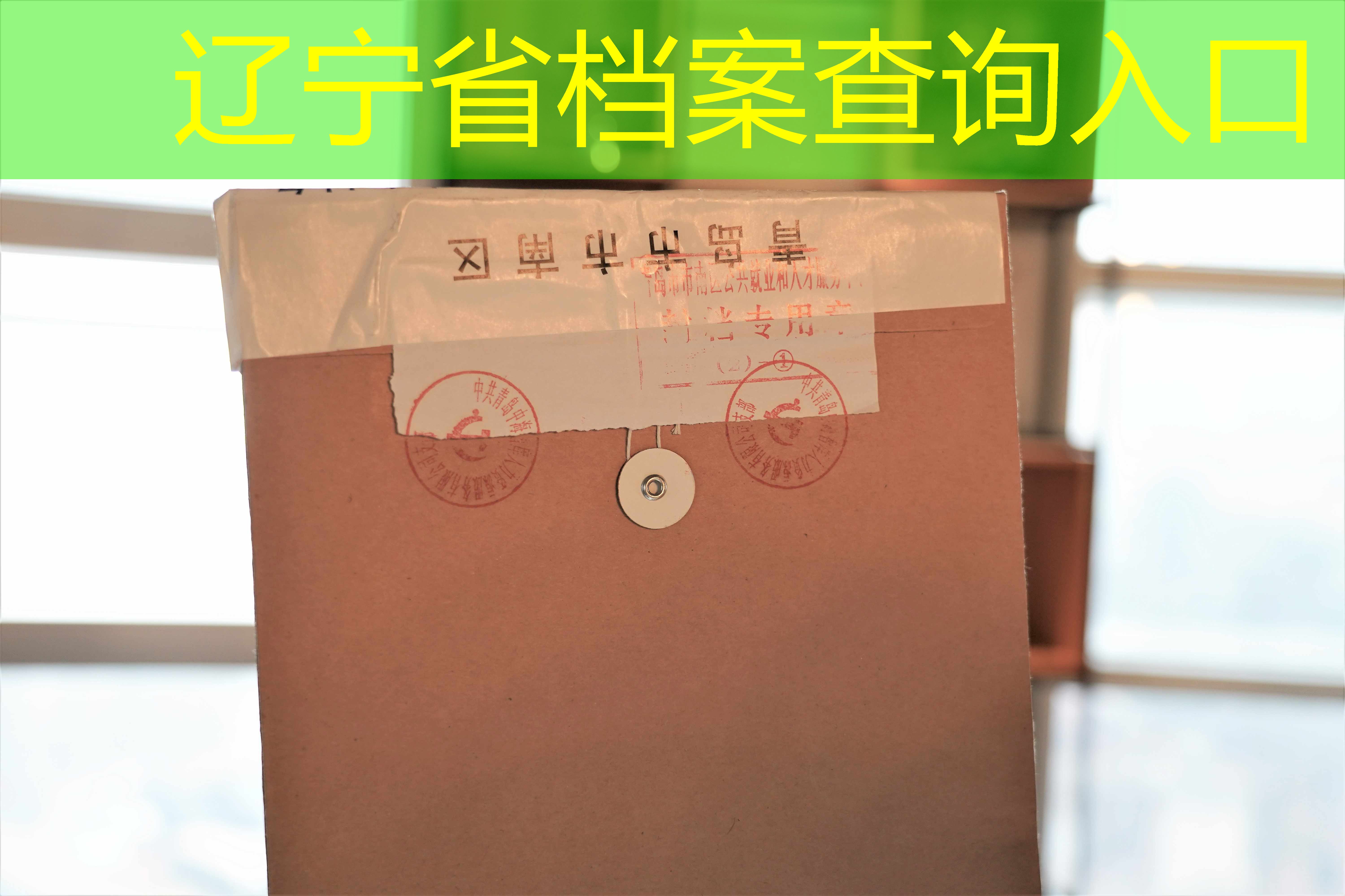 档案查询