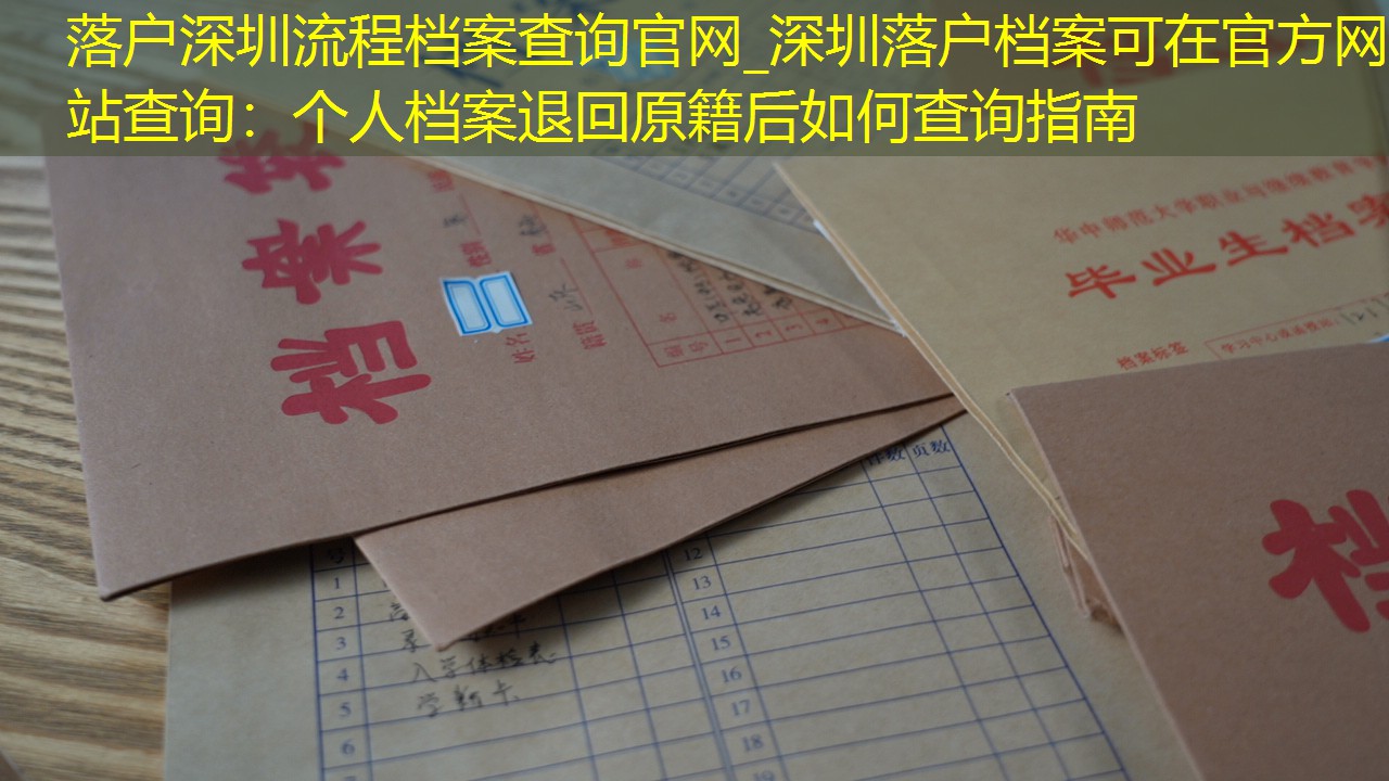 档案查询