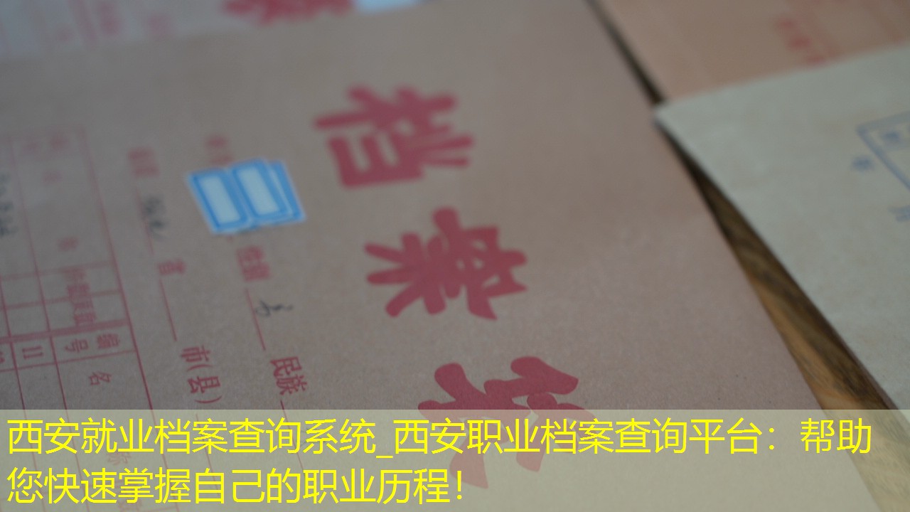 档案查询