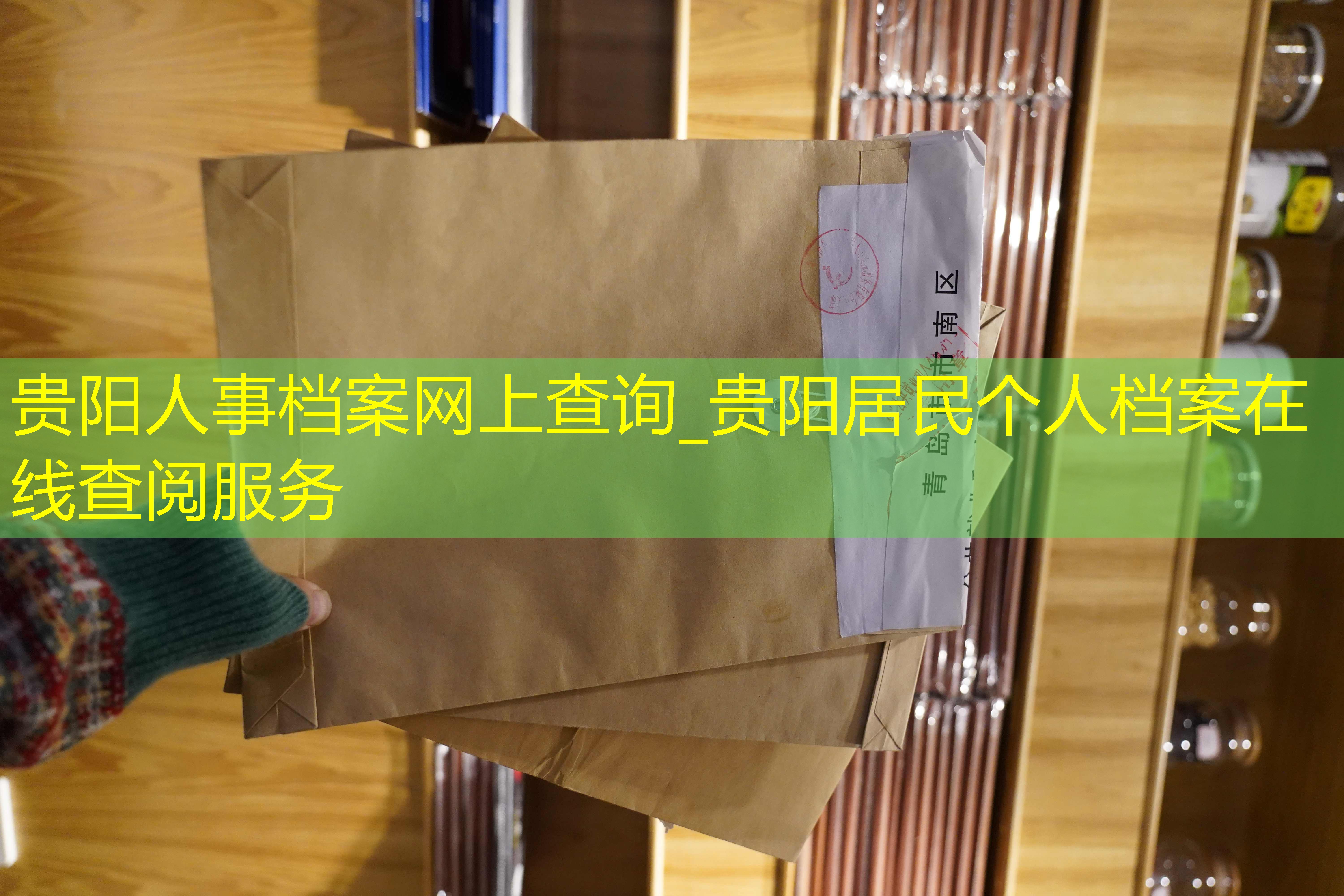档案查询