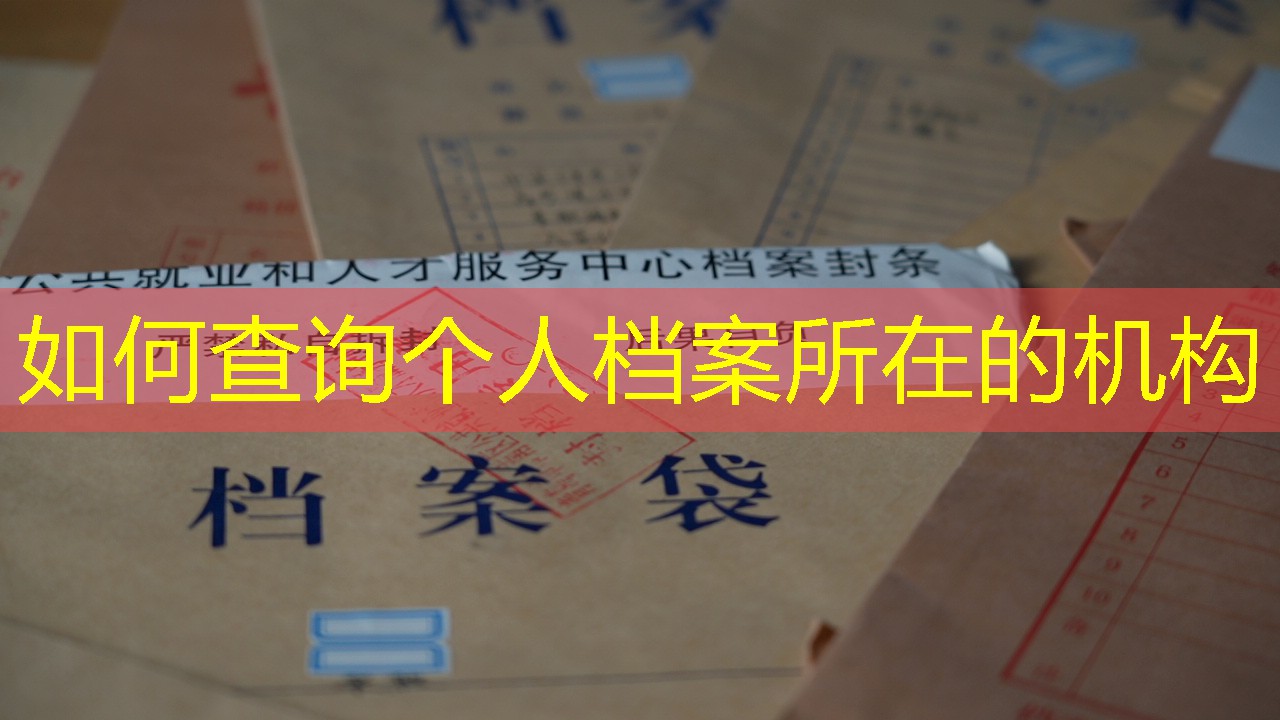 档案查询