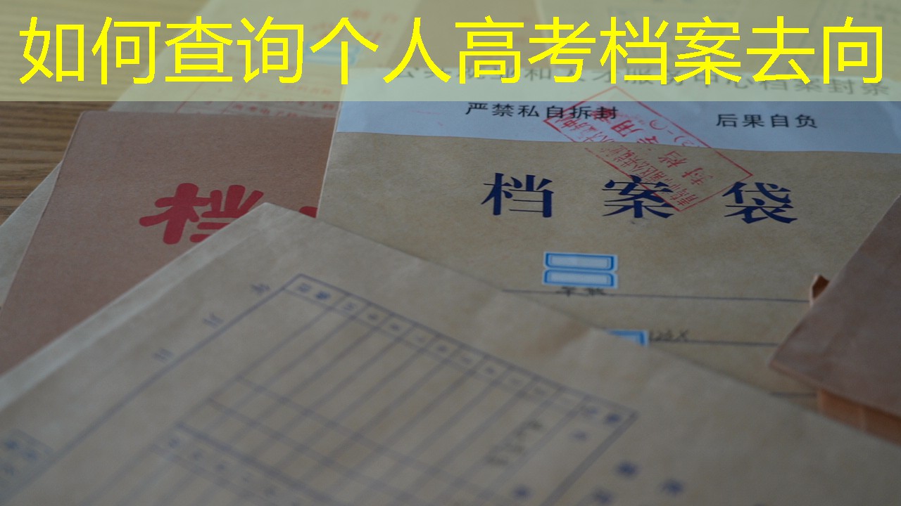 档案查询