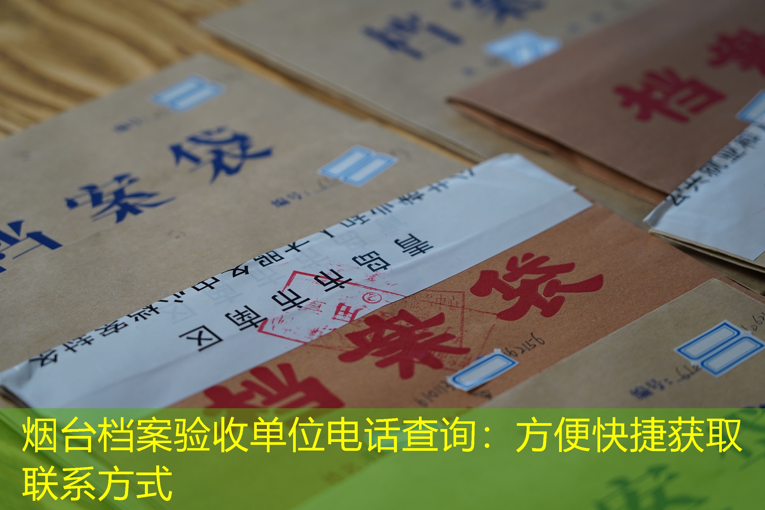 档案查询