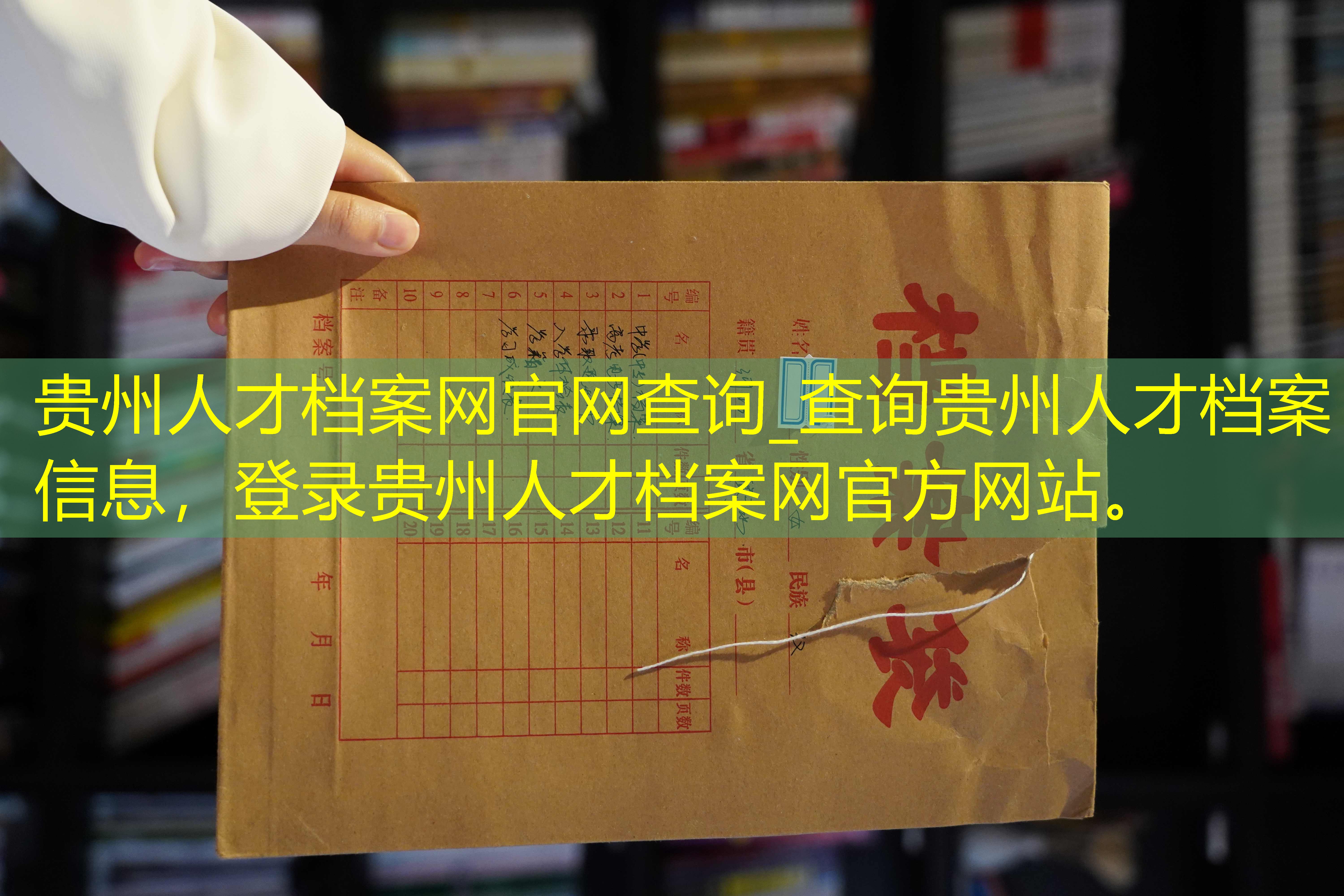 档案查询