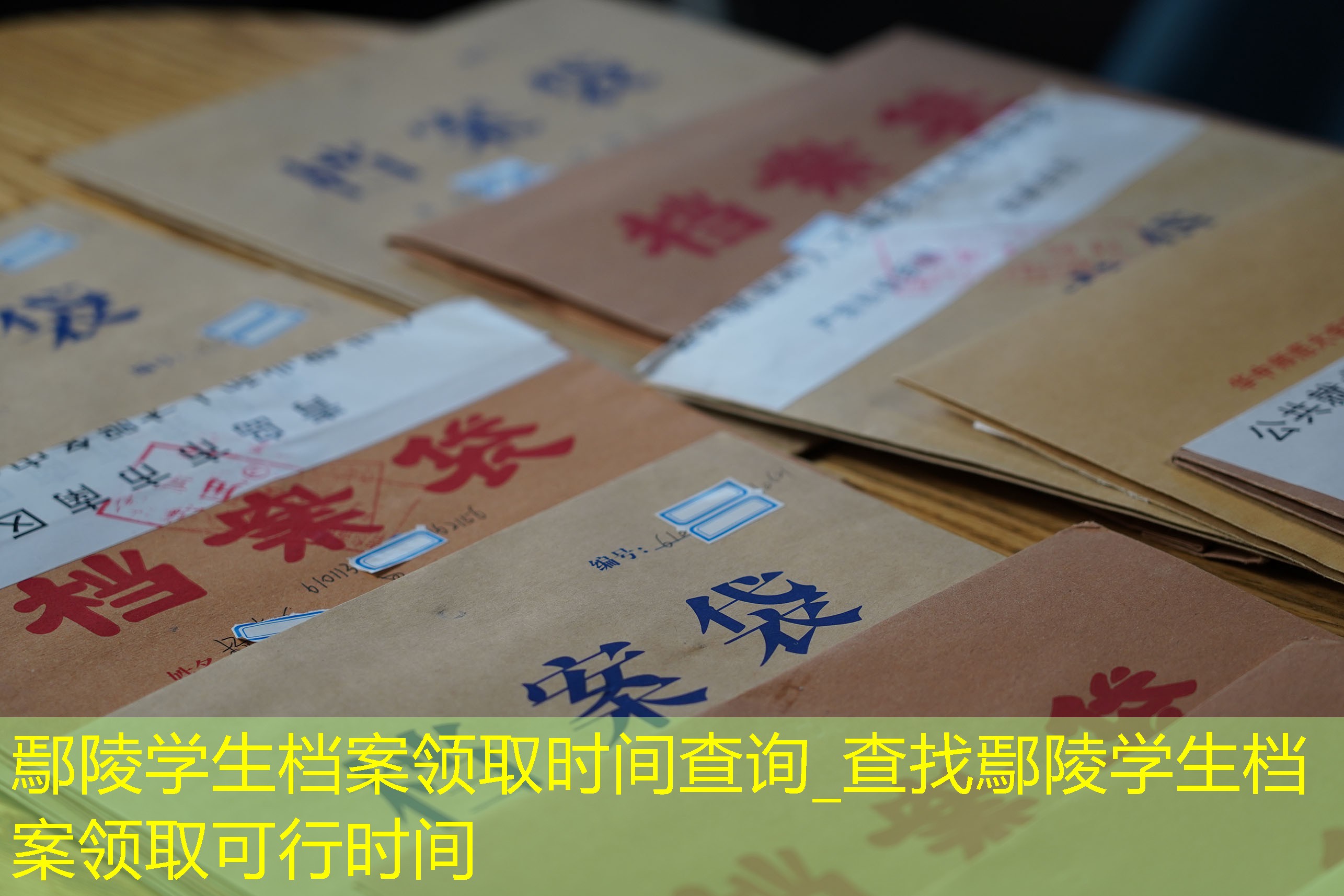 档案查询