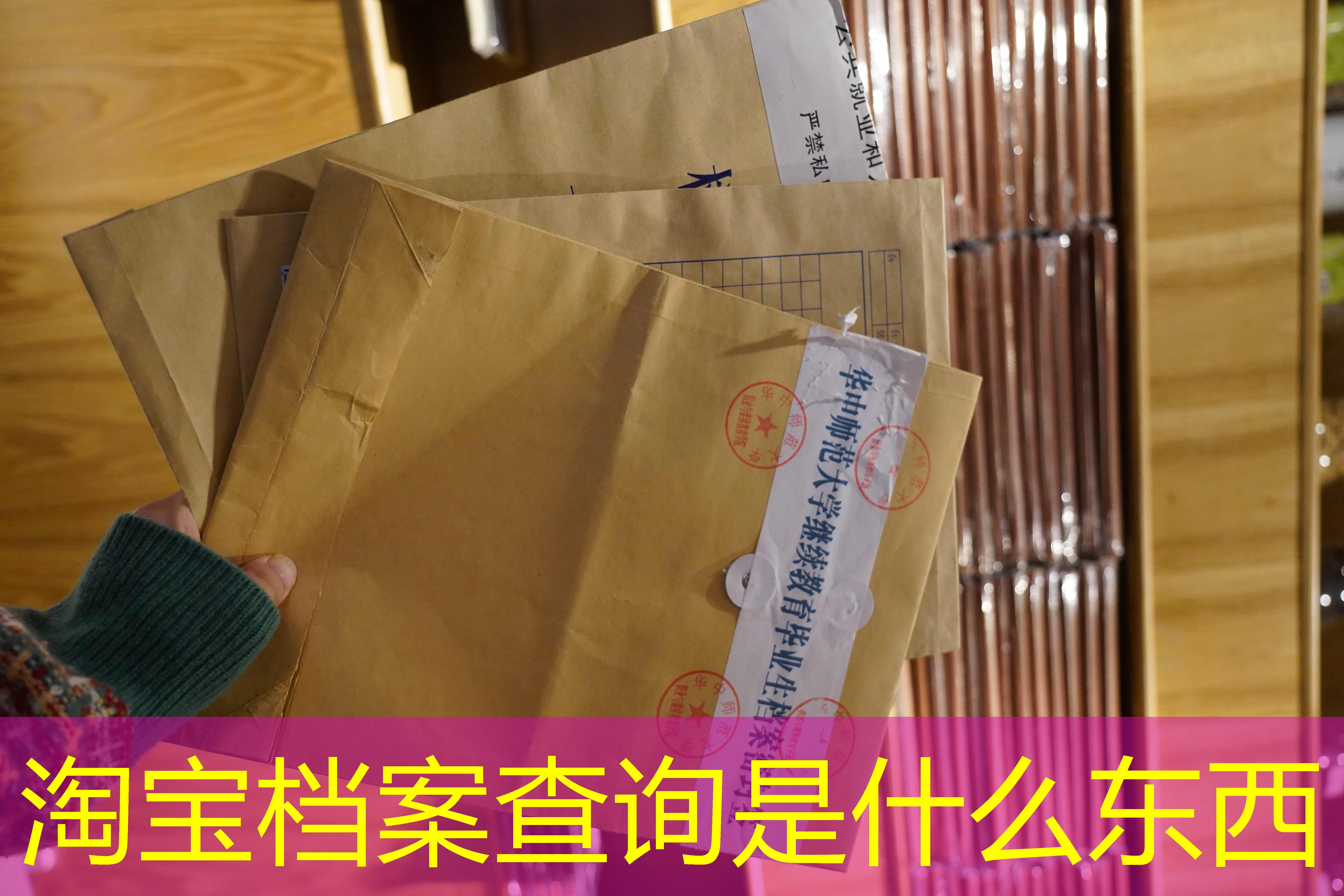 档案查询